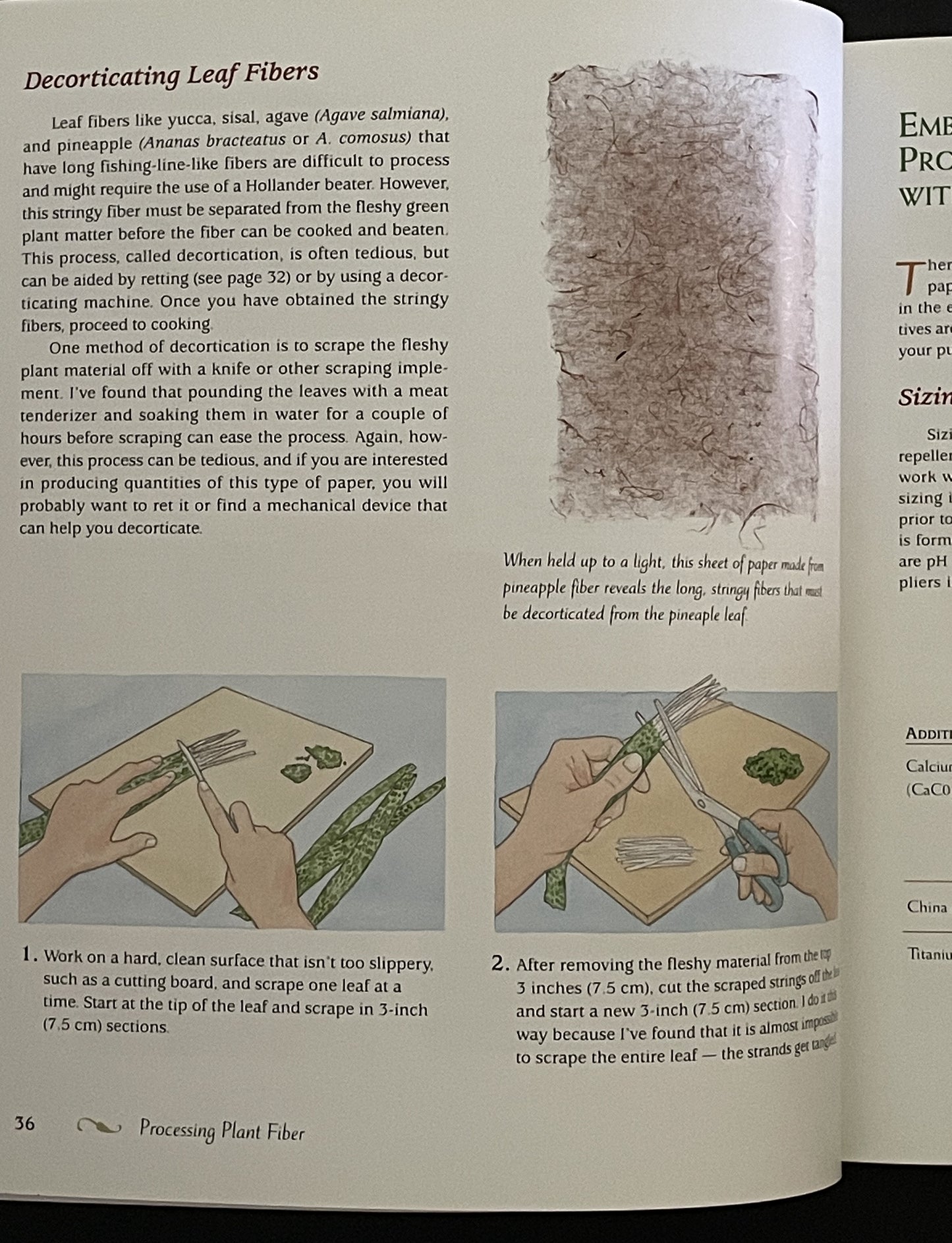 Papermaking with Garden Plants & Common Weeds by Helen Hiebert