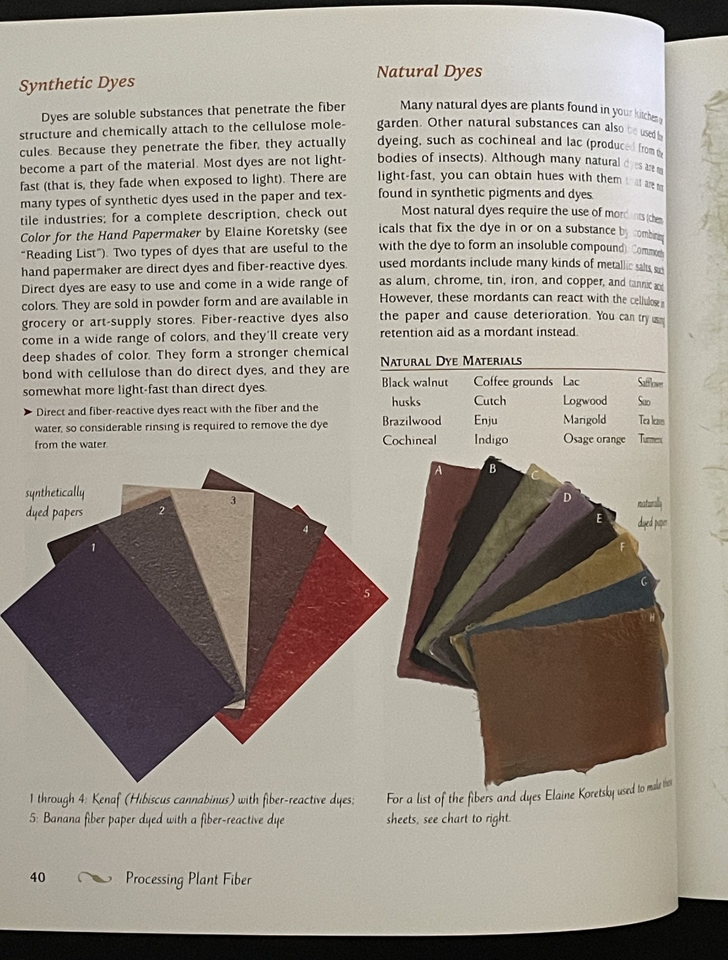 Papermaking with Garden Plants & Common Weeds by Helen Hiebert