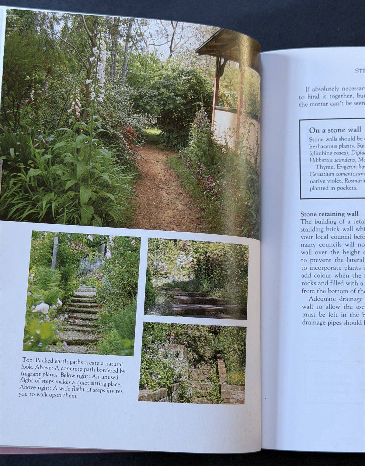 Let the Garden Go by Cheryl Maddocks