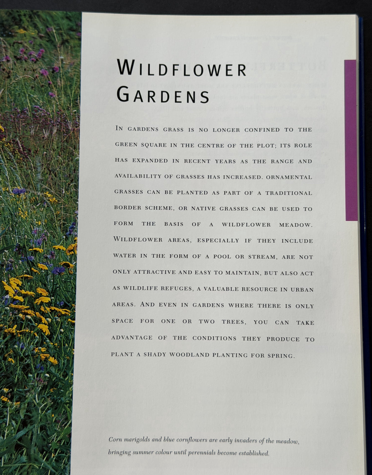 The RHS Book of Planting Recipes