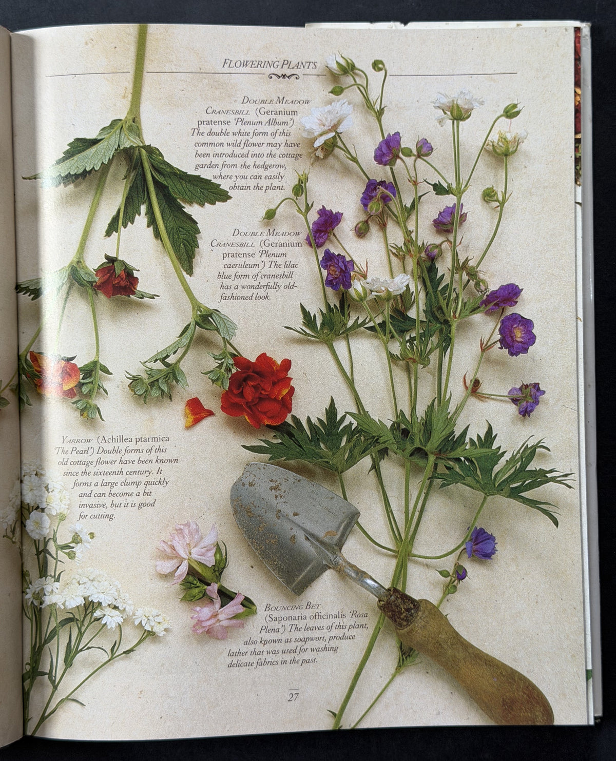 The Cottage Garden by Christopher Lloyd, Richard Bird
