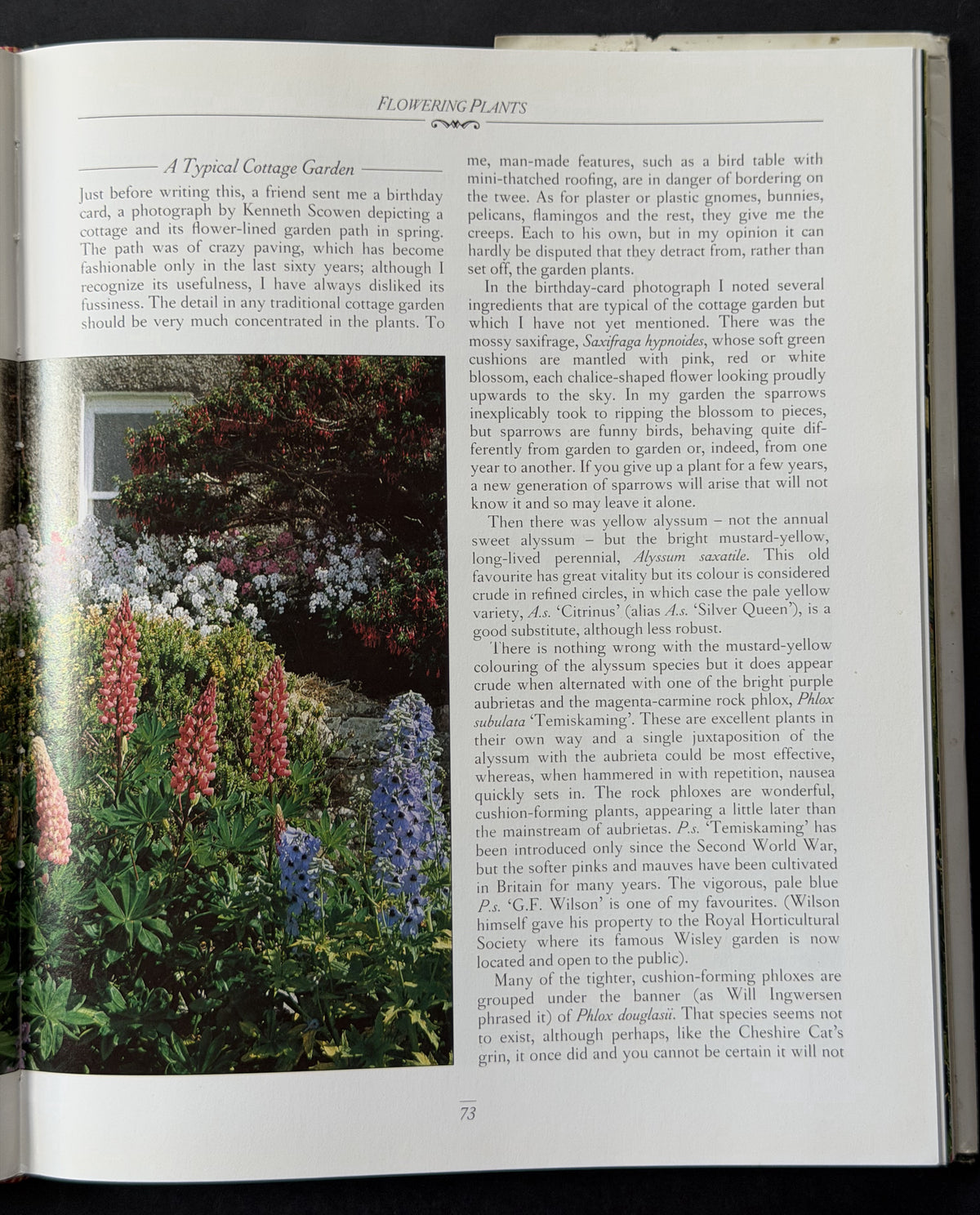 The Cottage Garden by Christopher Lloyd, Richard Bird