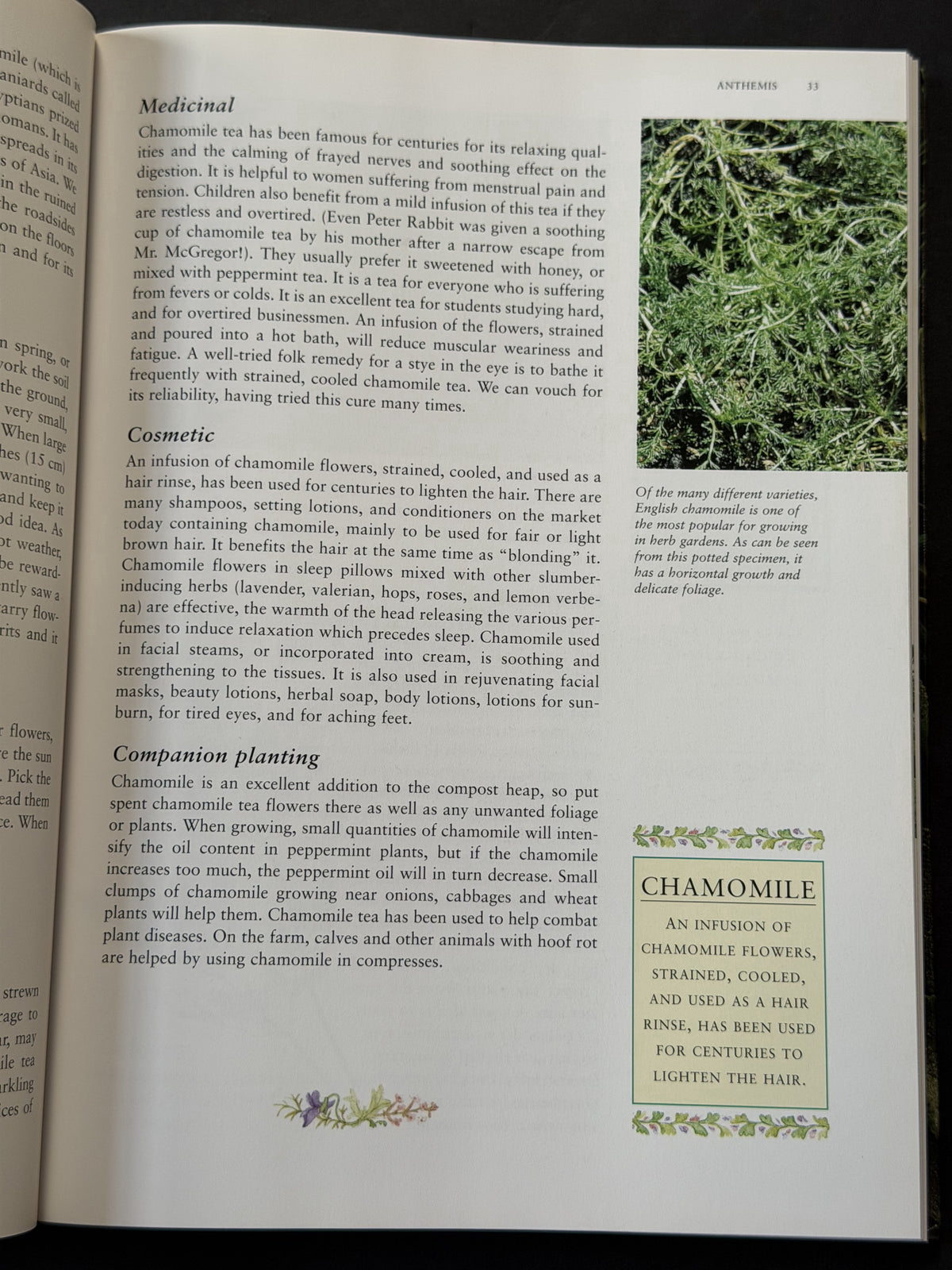 John & Rosemary Hemphill's what Herb is That? by John Hemphill et al.