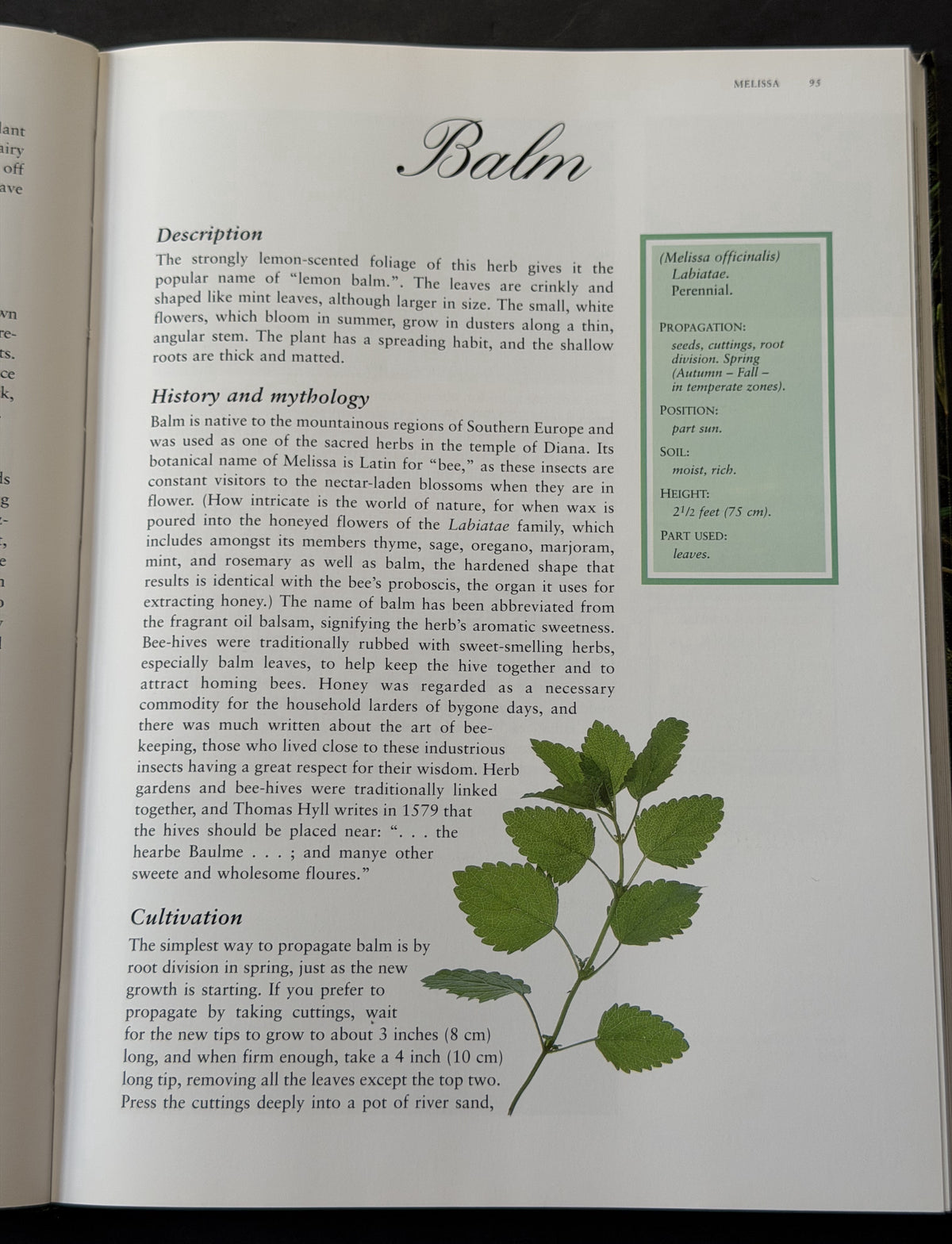 John & Rosemary Hemphill's what Herb is That? by John Hemphill et al.
