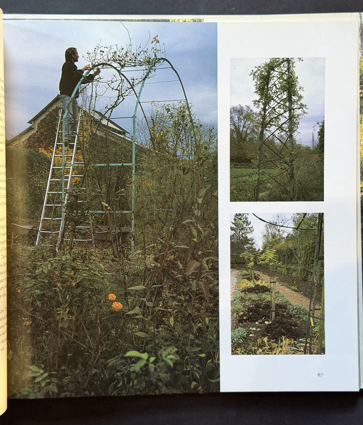 Monet's Garden by Vivian Russell