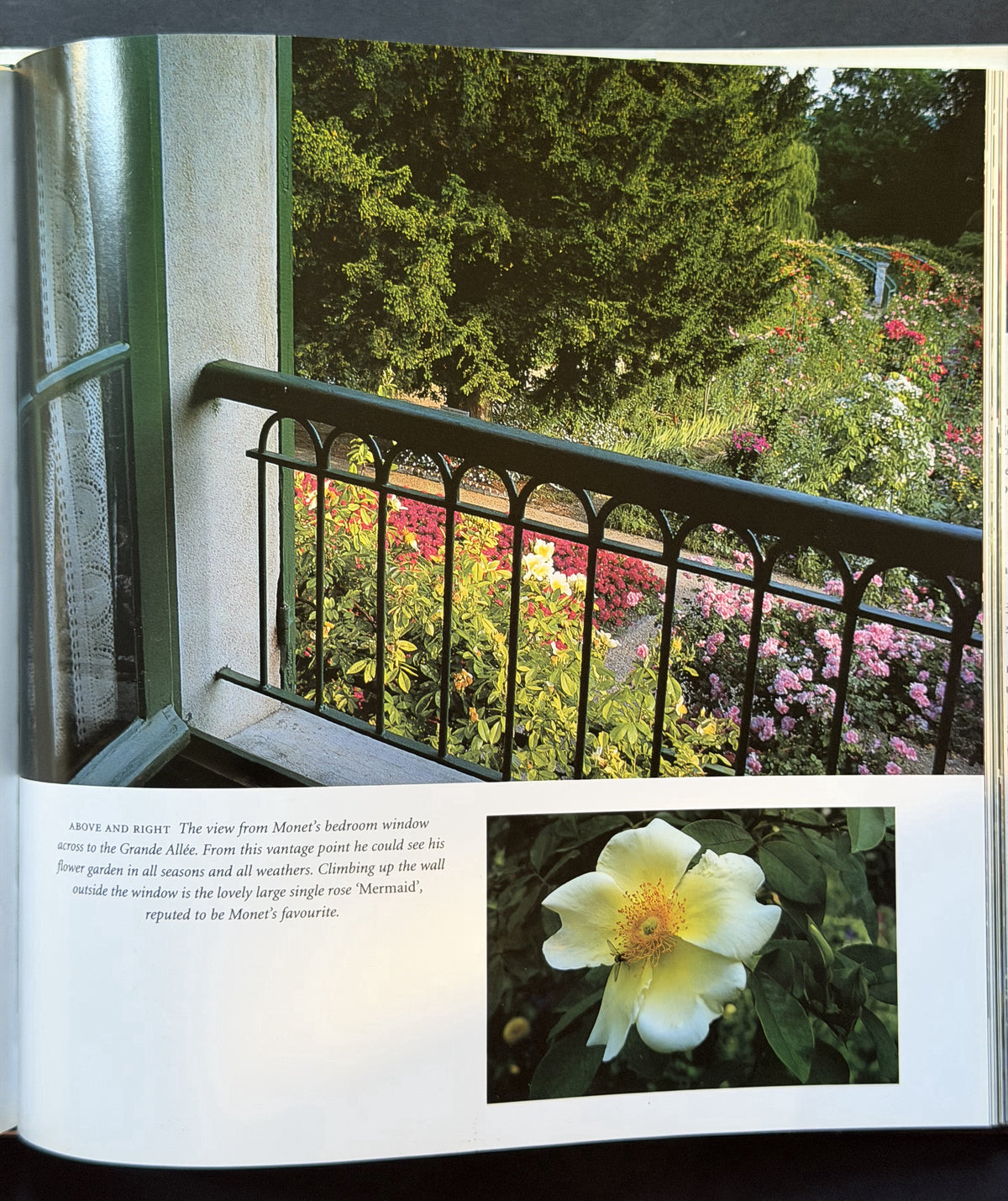 Monet's Garden by Vivian Russell