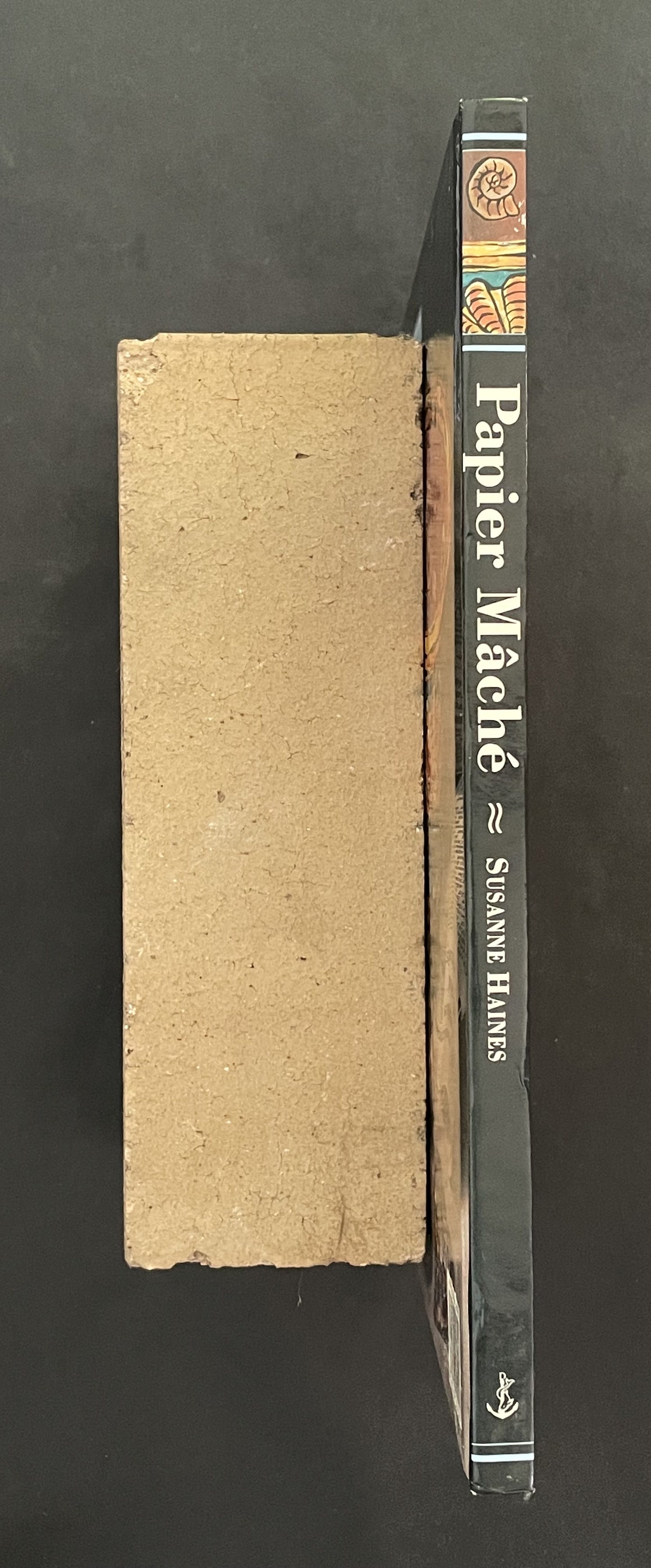 Papier Mâché by Susanne Haines