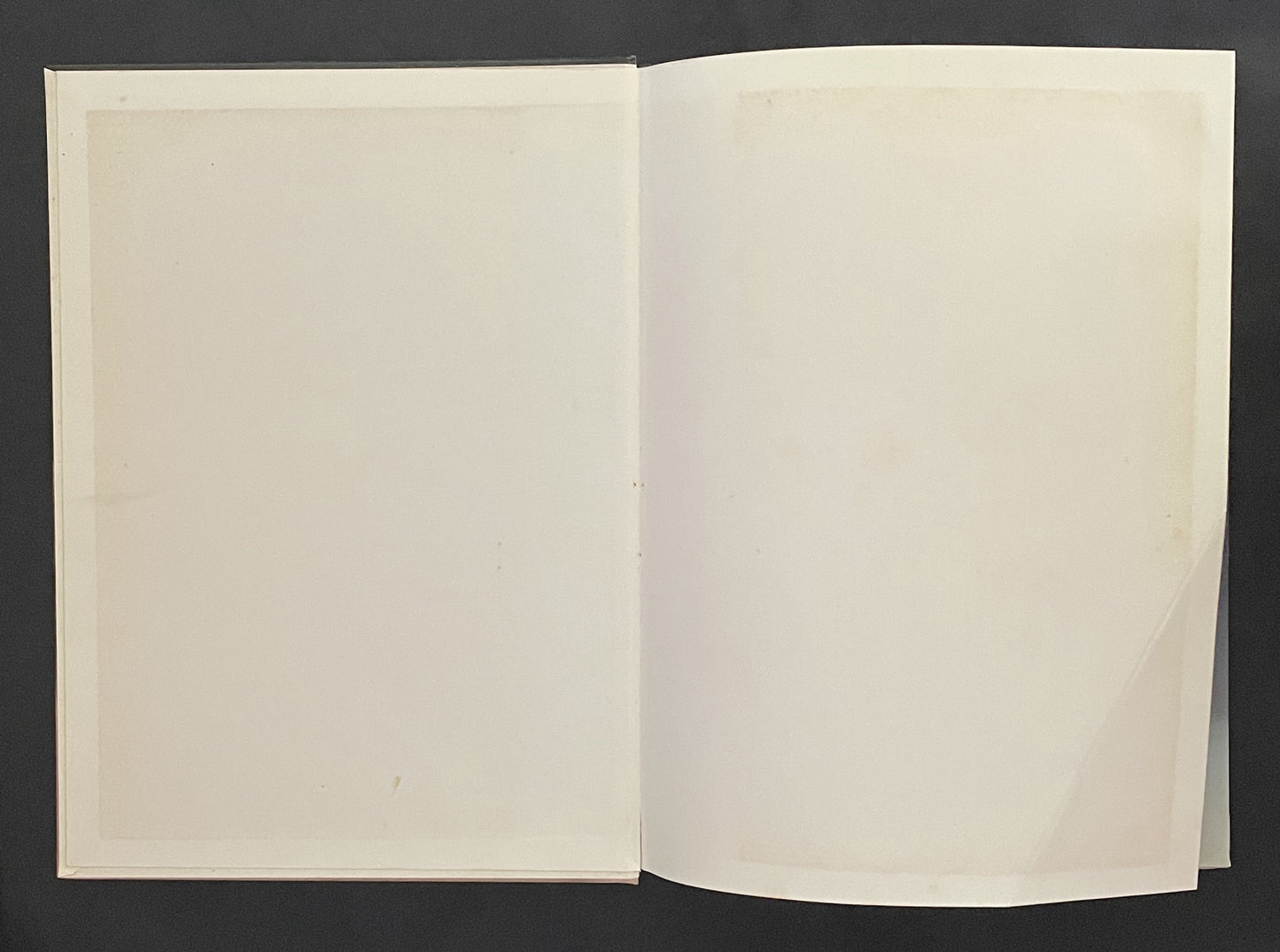 Papier Mâché by Susanne Haines