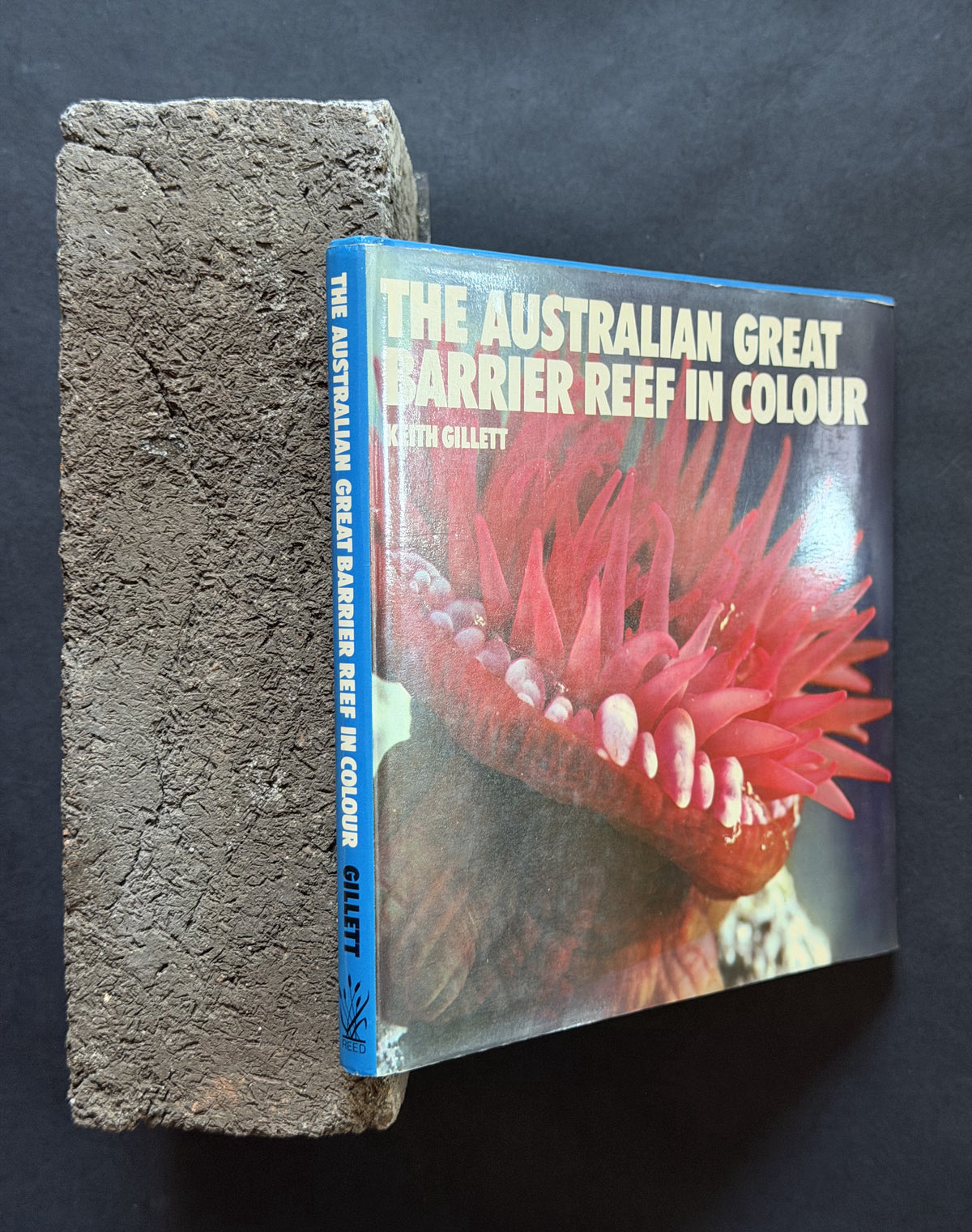 The Australian Great Barrier Reef in Colour by Keith Gillett