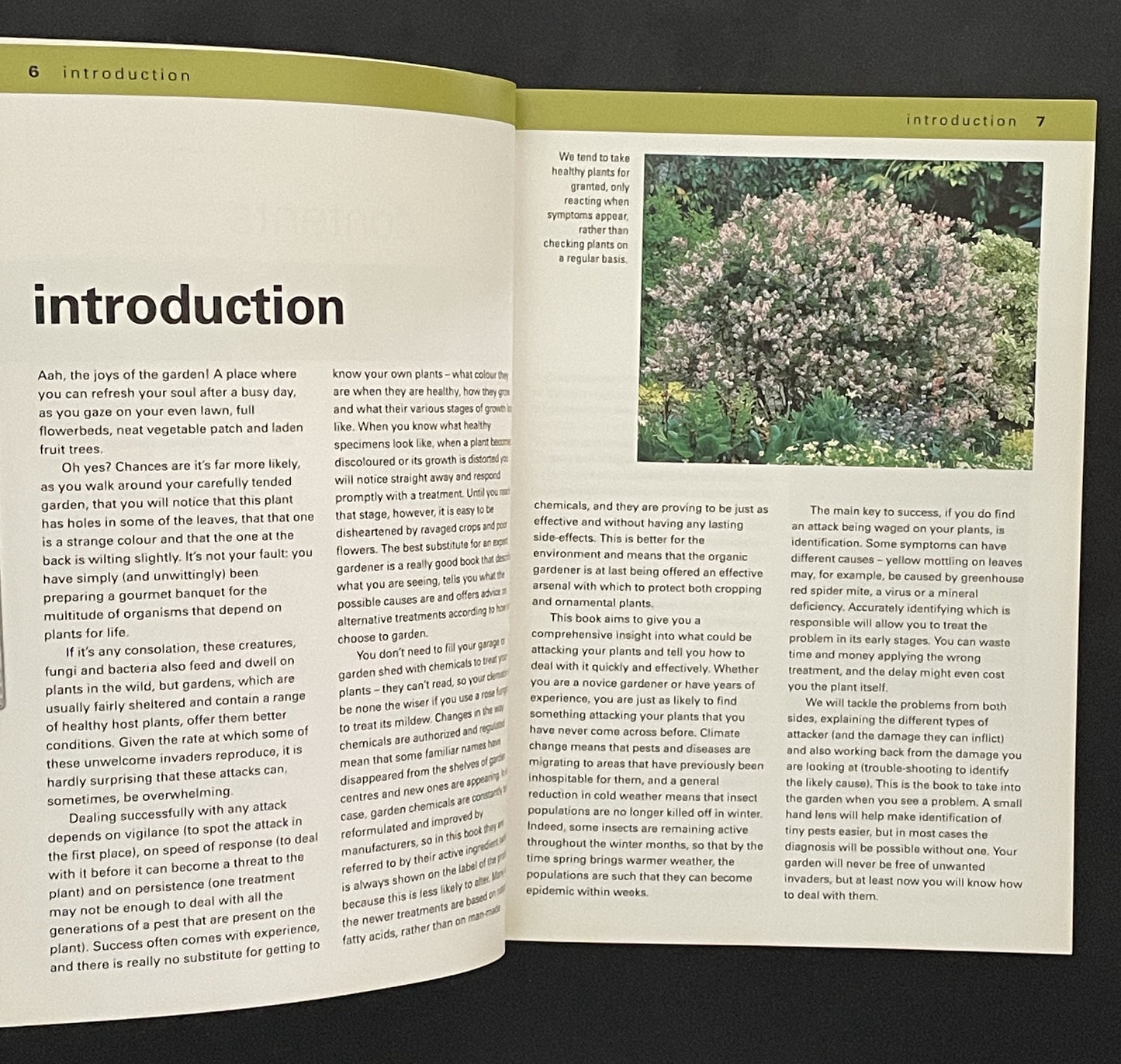 What's Wrong with My Plant? by Steve Bradley