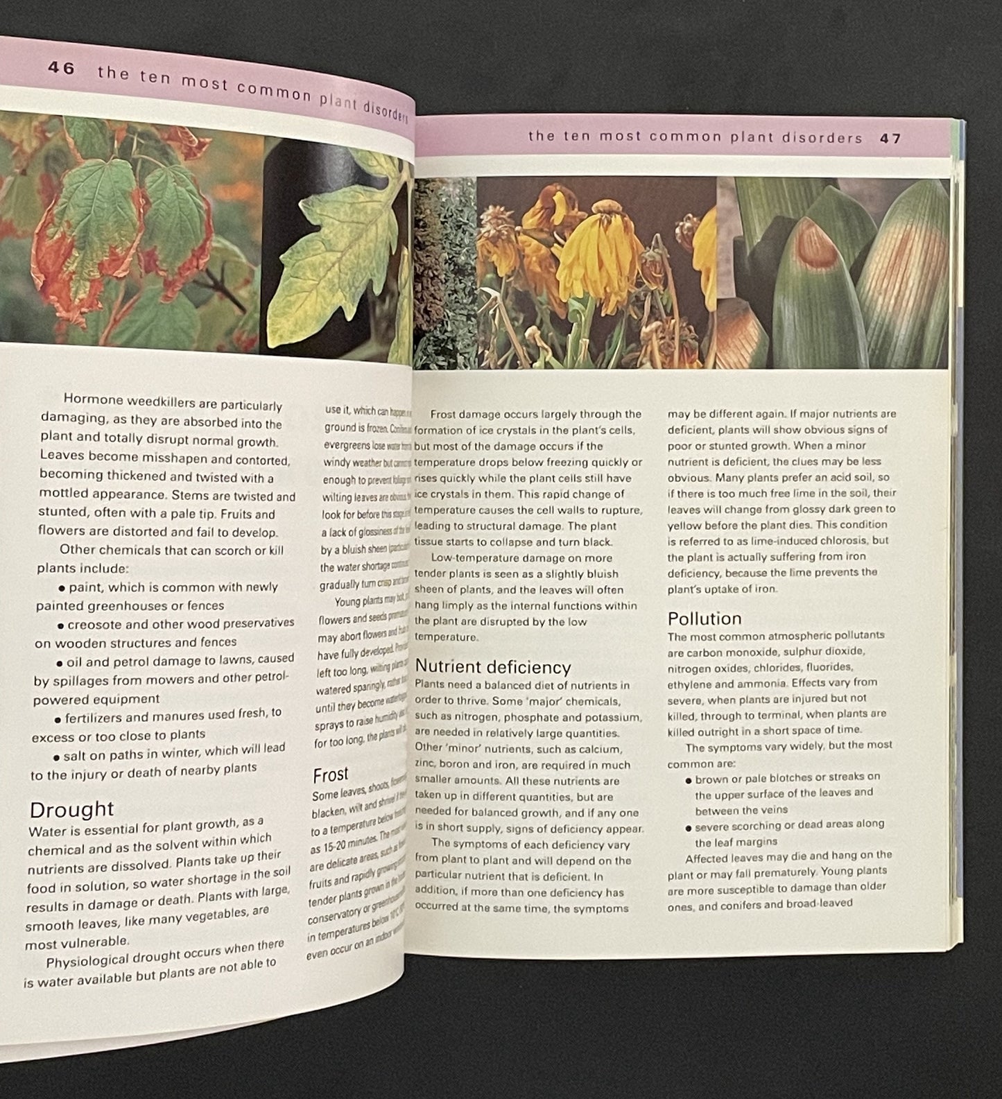 What's Wrong with My Plant? by Steve Bradley