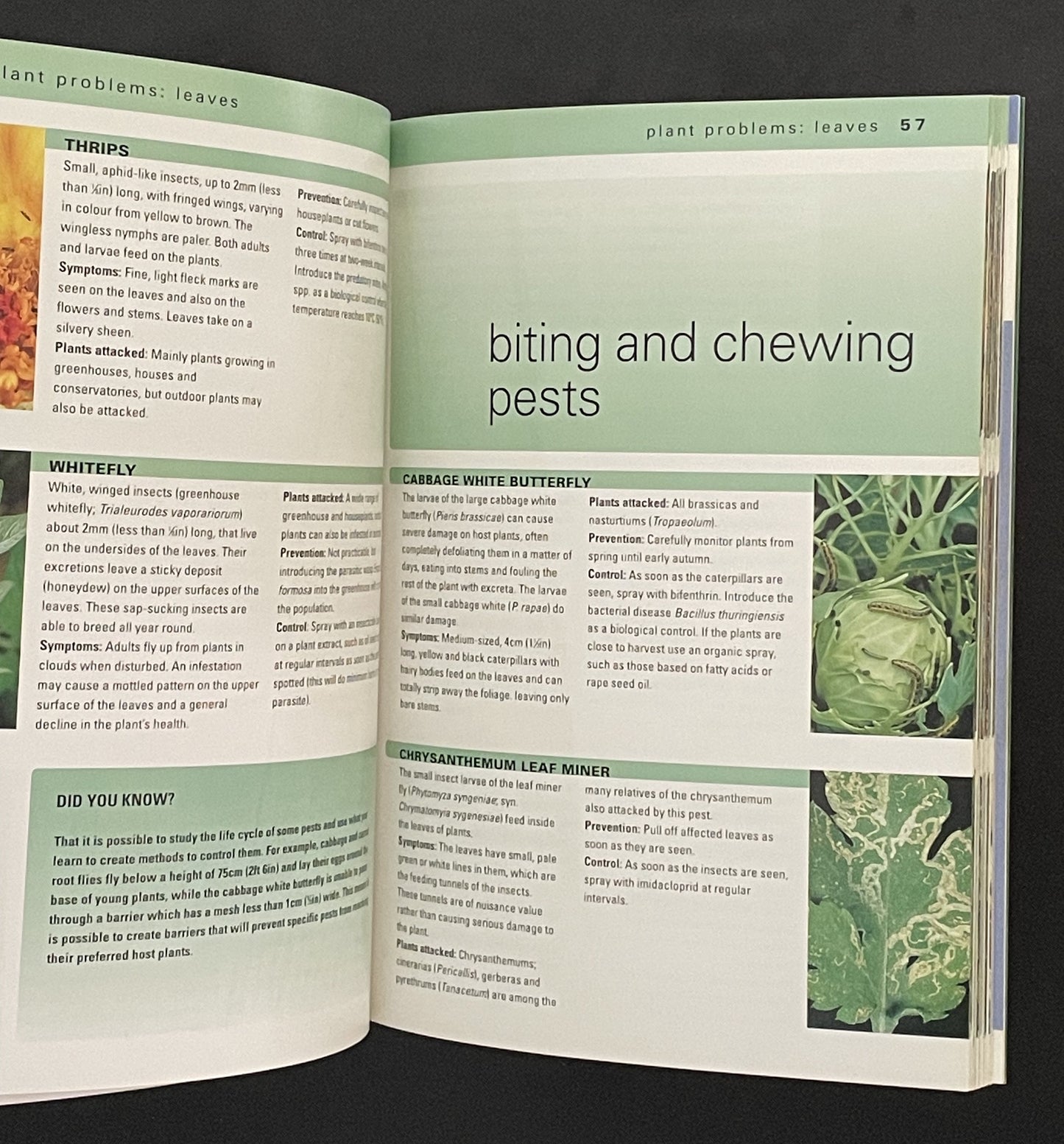 What's Wrong with My Plant? by Steve Bradley