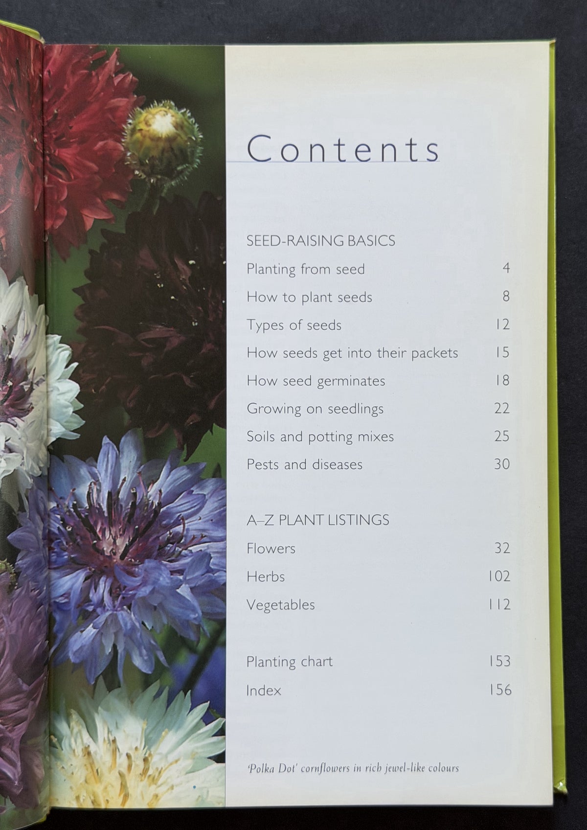 Growing from Seed by Margaret Hanks