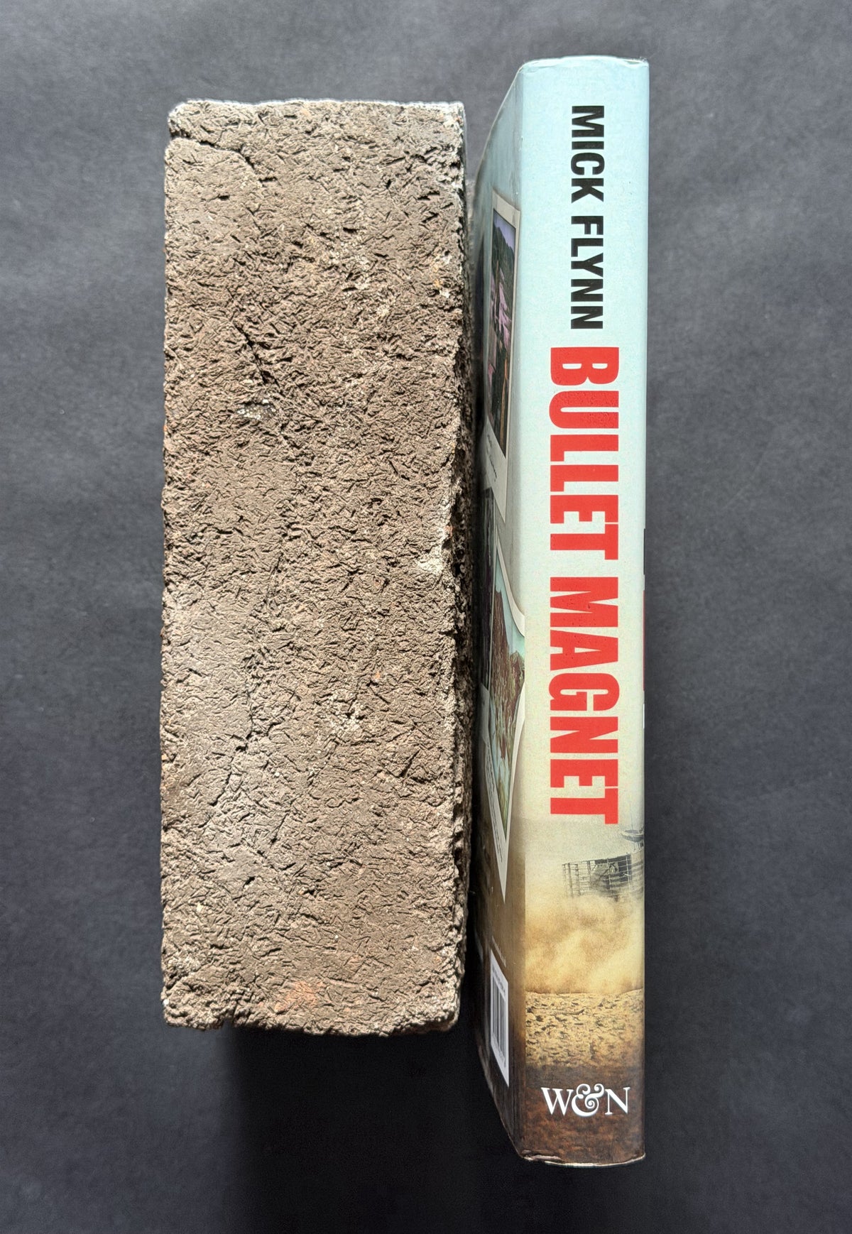 Bullet Magnet by Mick Flynn