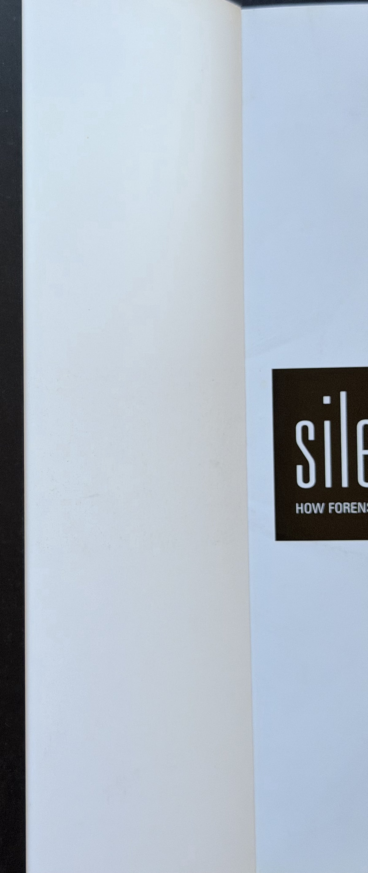 Silent Witness by Roxana Ferllini