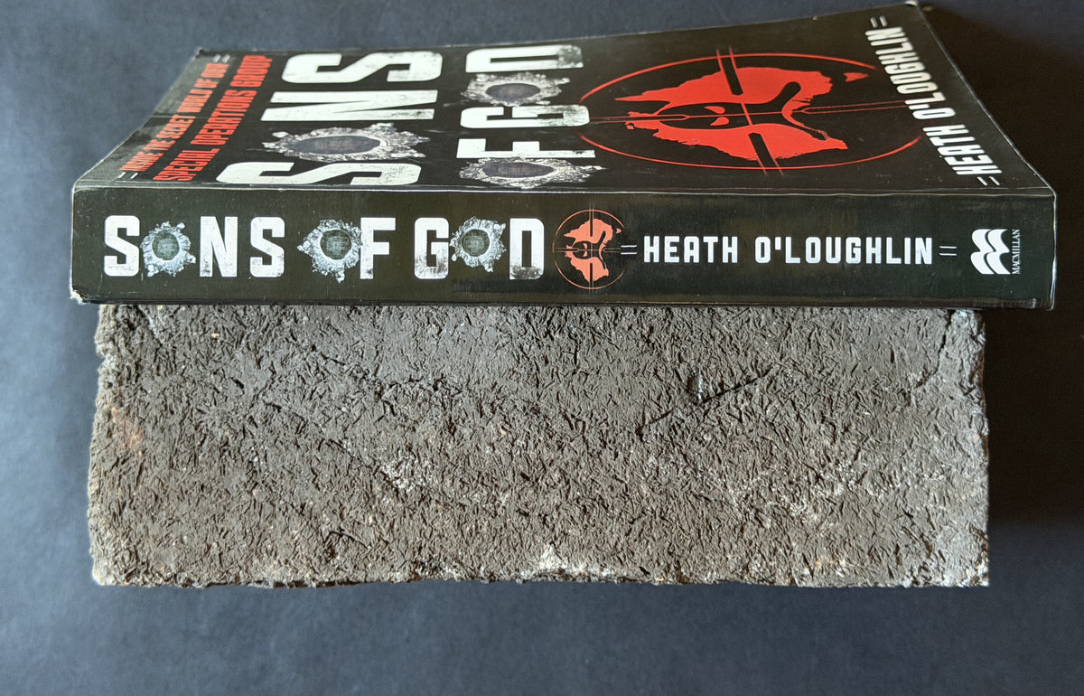 Sons of God by Heath O'Loughlin, John Silvester