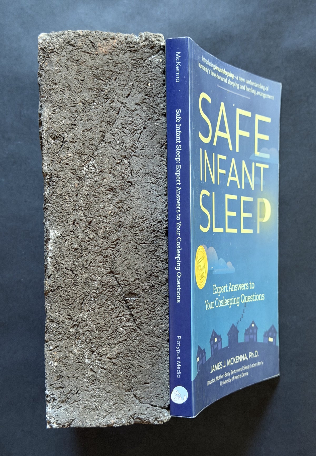 Safe Infant Sleep by James J. McKenna