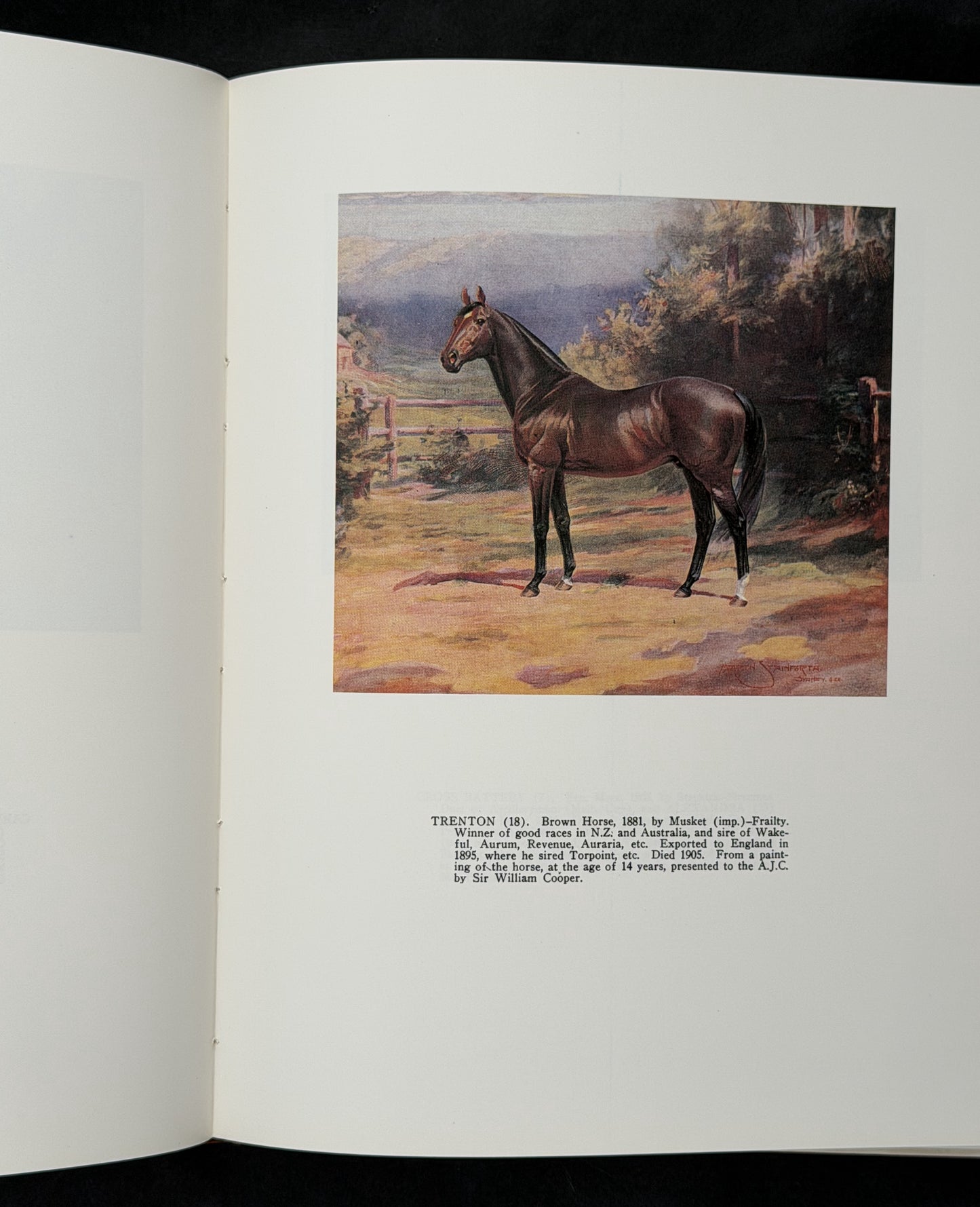 Racehorses in Australia by D. H. Lang