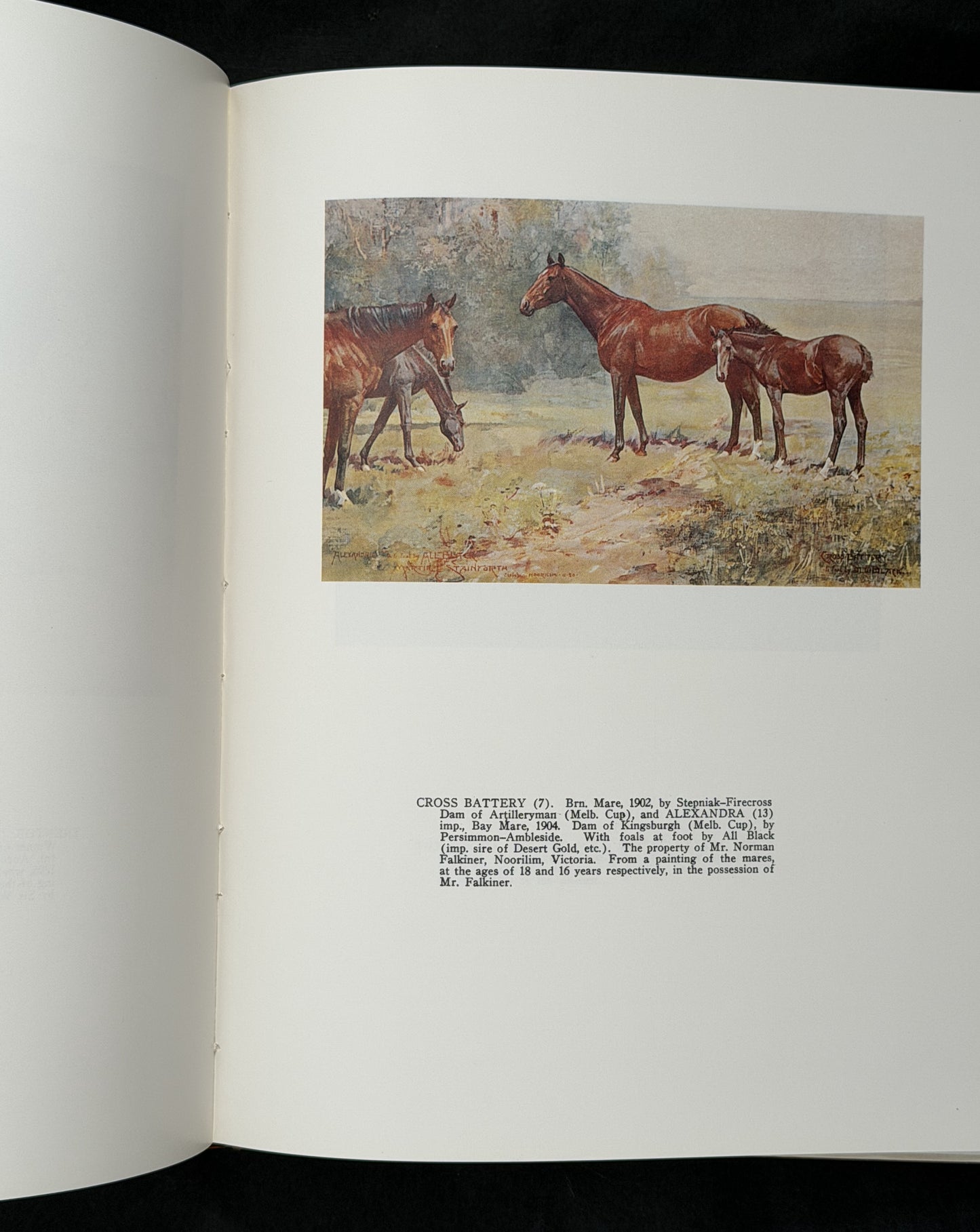 Racehorses in Australia by D. H. Lang