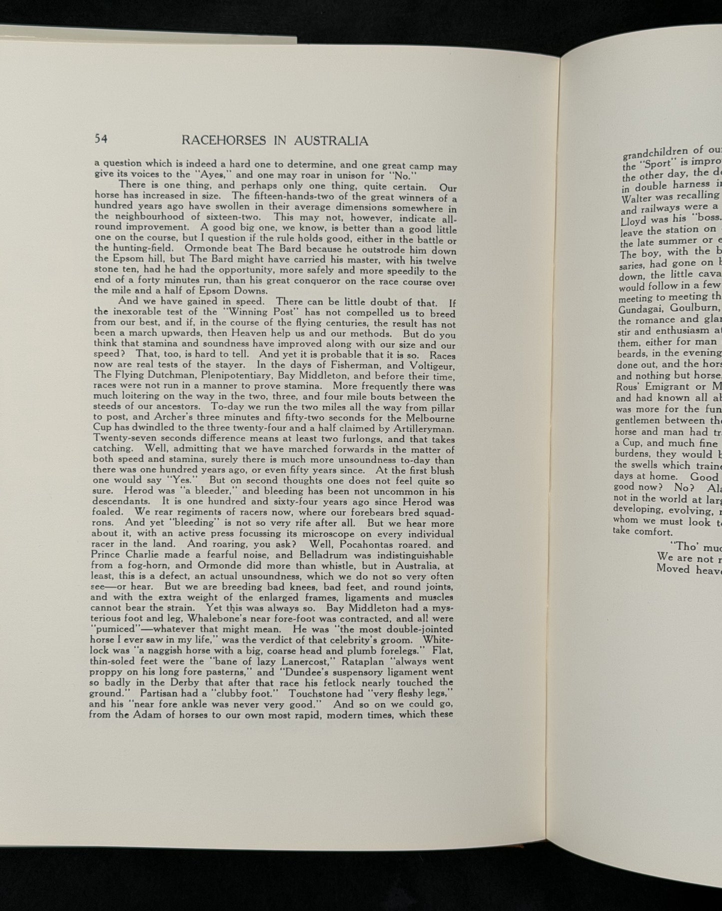 Racehorses in Australia by D. H. Lang