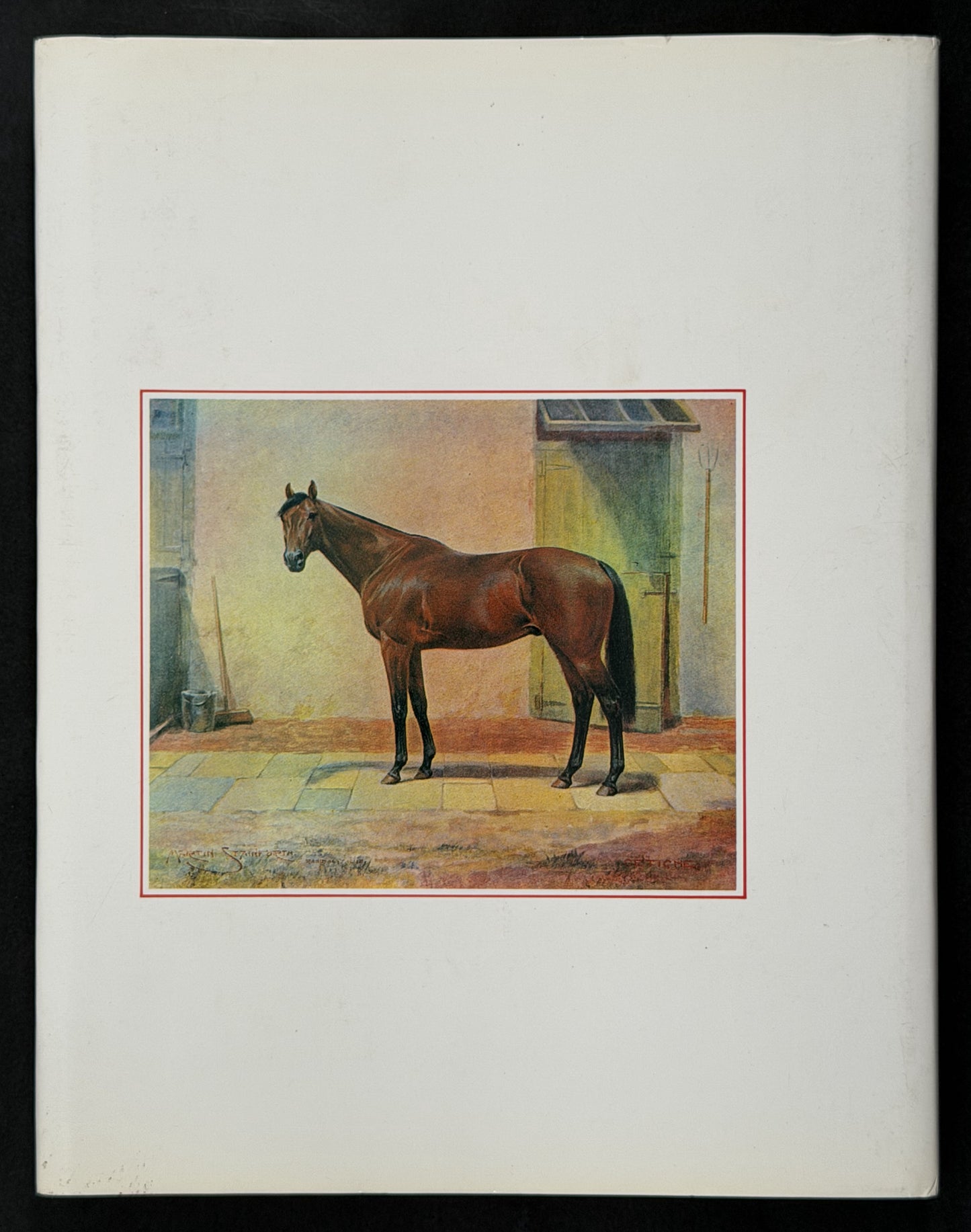 Racehorses in Australia by D. H. Lang