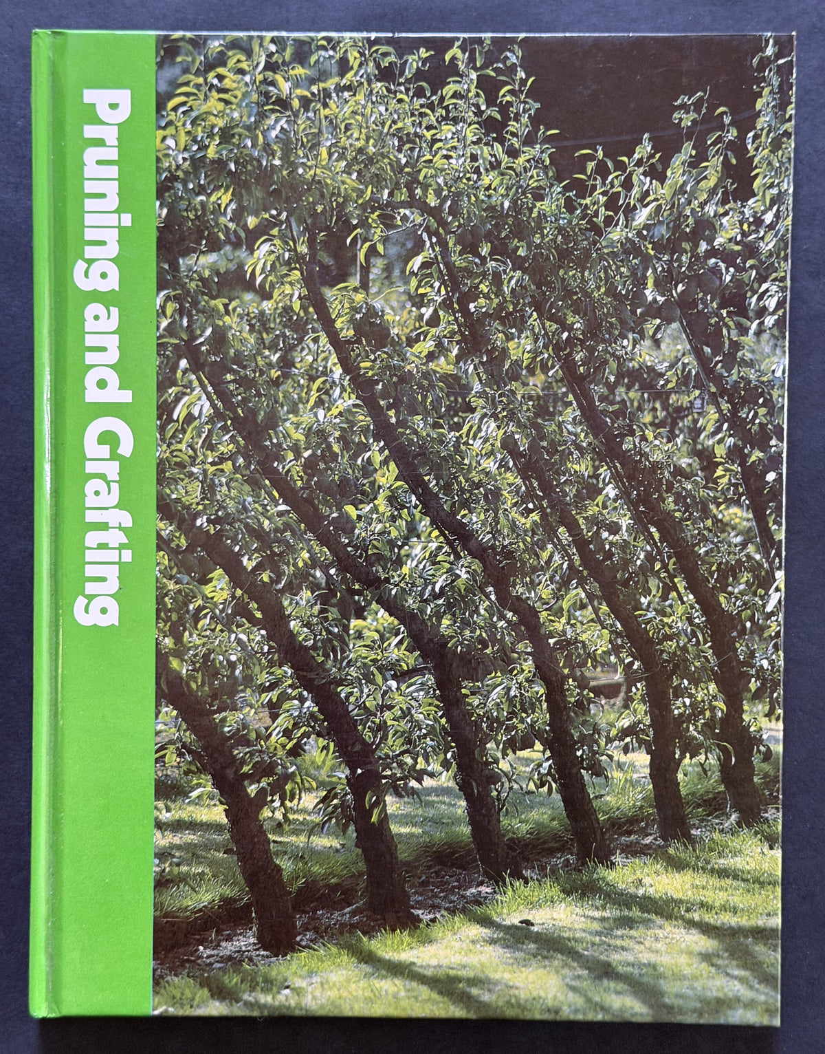 Pruning and Grafting by Oliver E. Allen