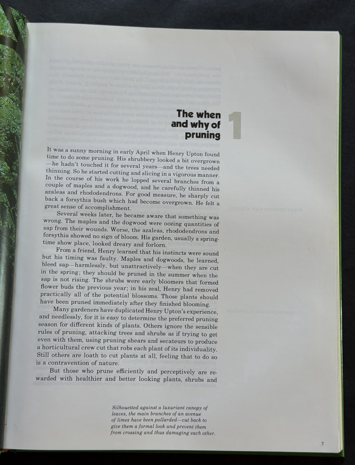 Pruning and Grafting by Oliver E. Allen