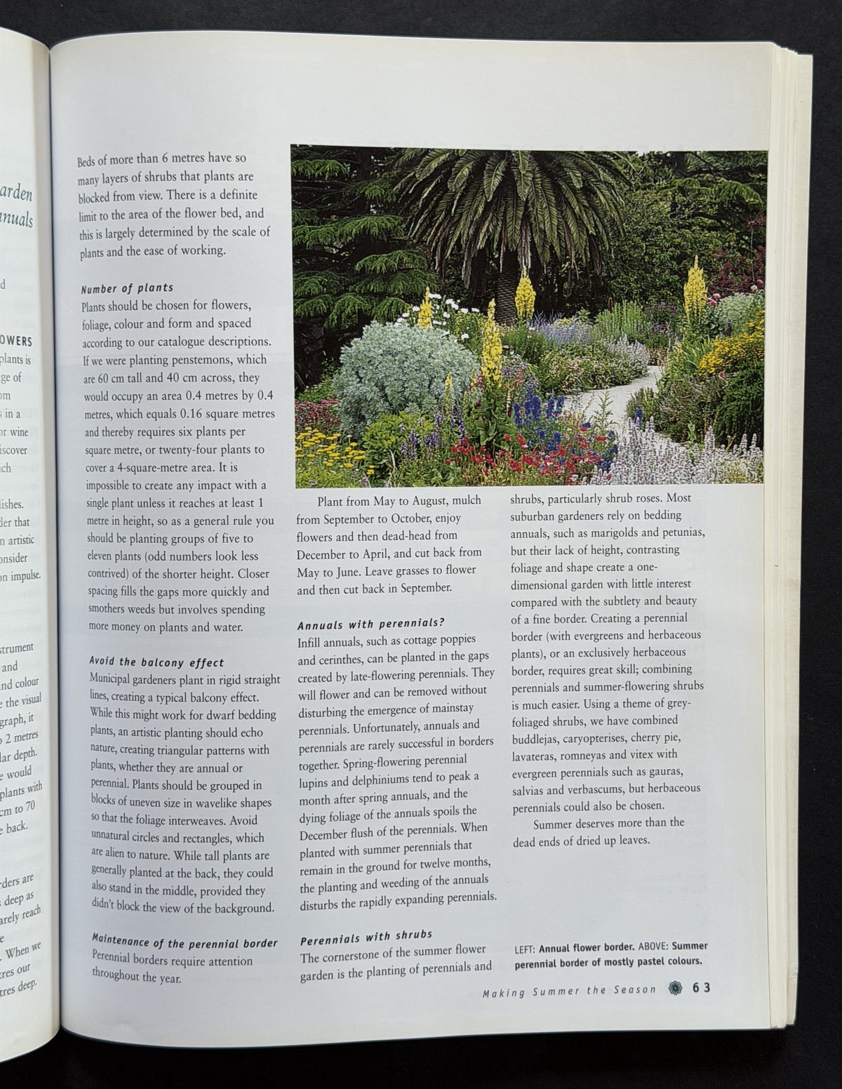 The Australian Flower Garden by Clive Blazey