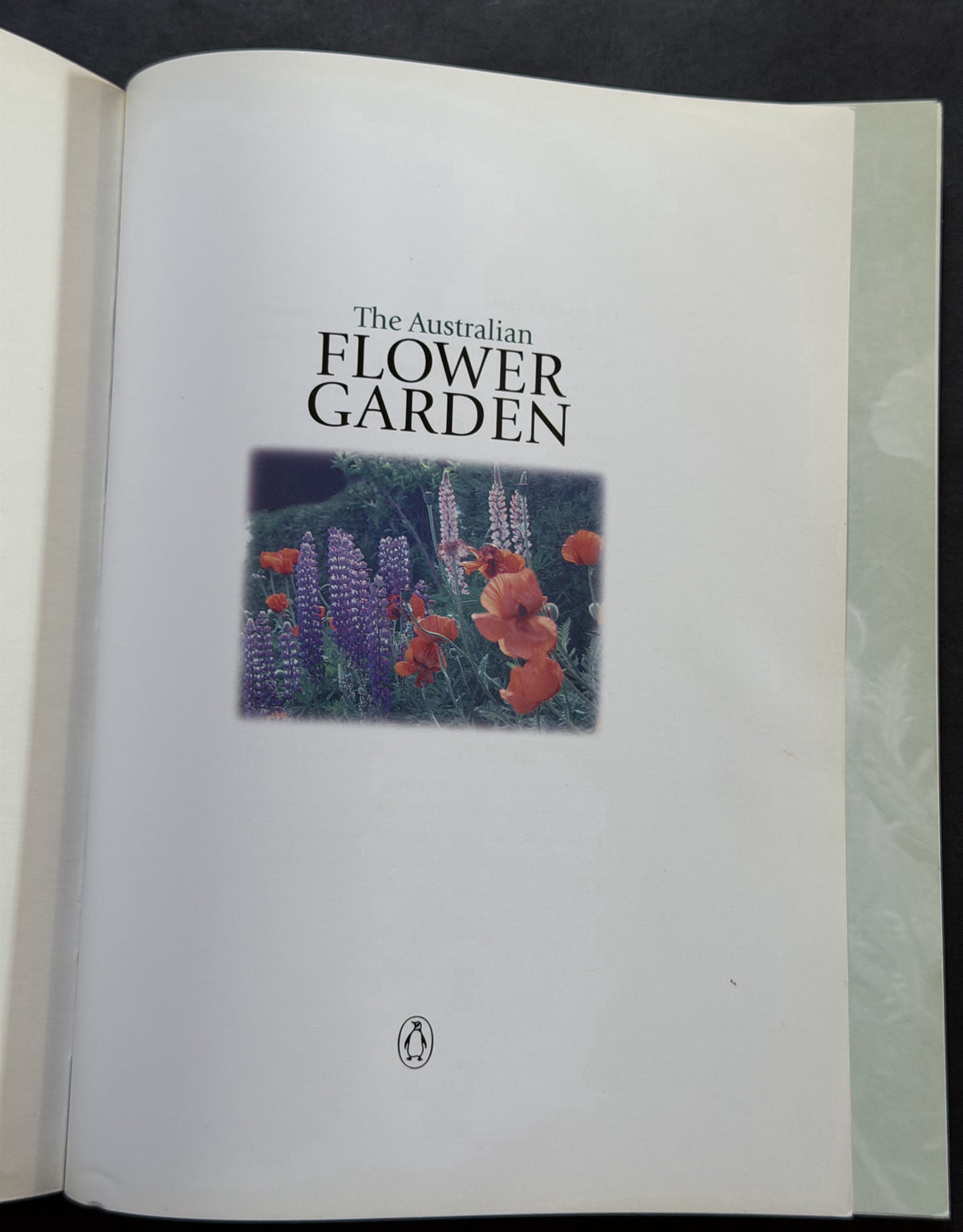 The Australian Flower Garden by Clive Blazey