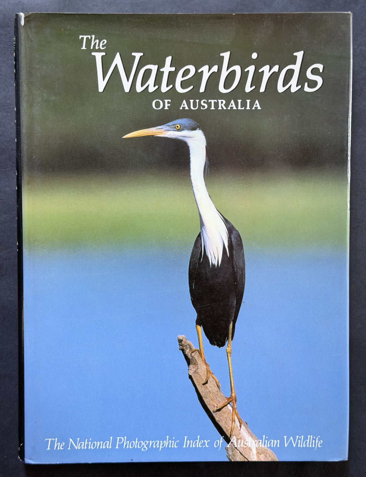 The Waterbirds of Australia