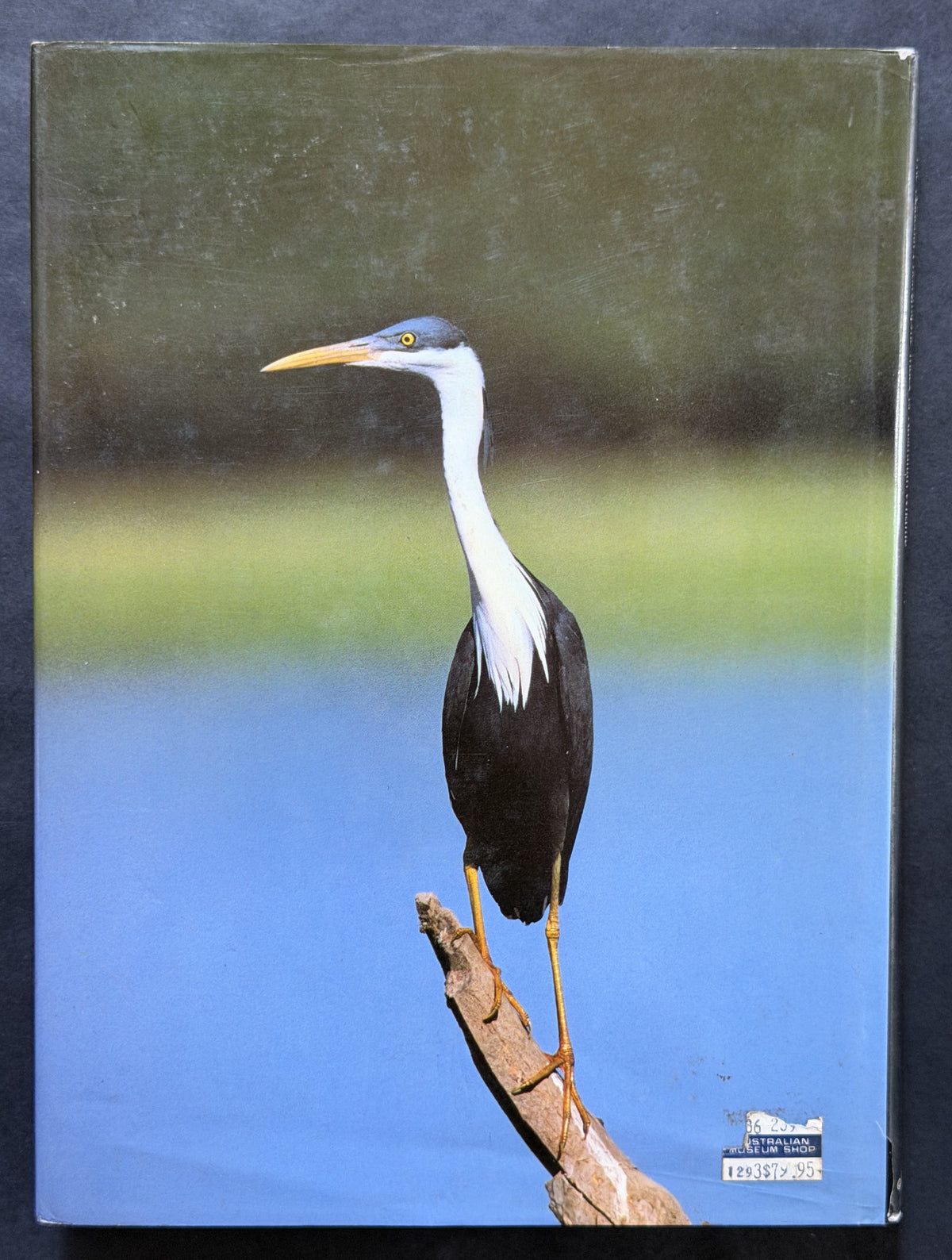 The Waterbirds of Australia