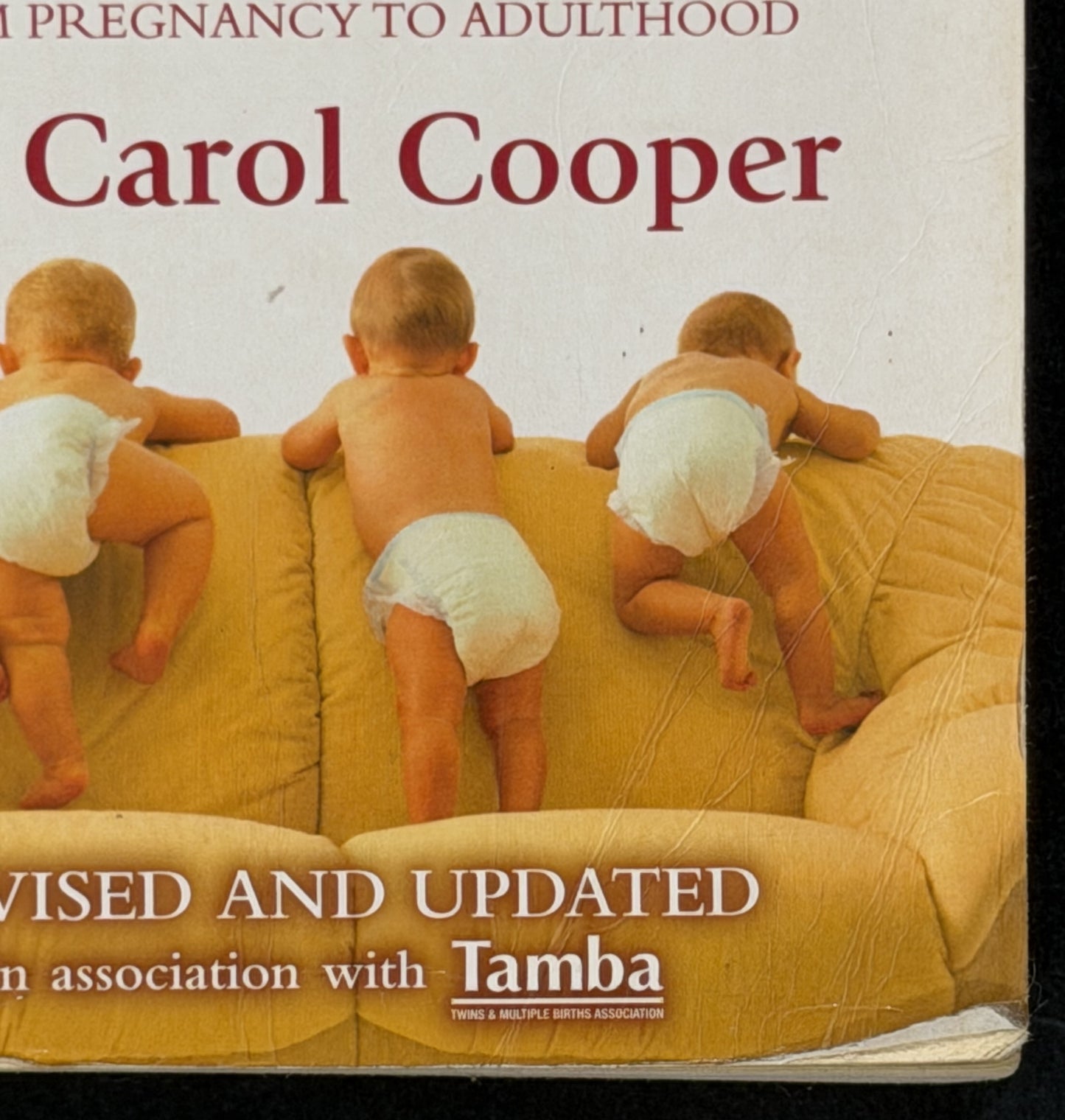 Twins and Multiple Births by Carol Cooper