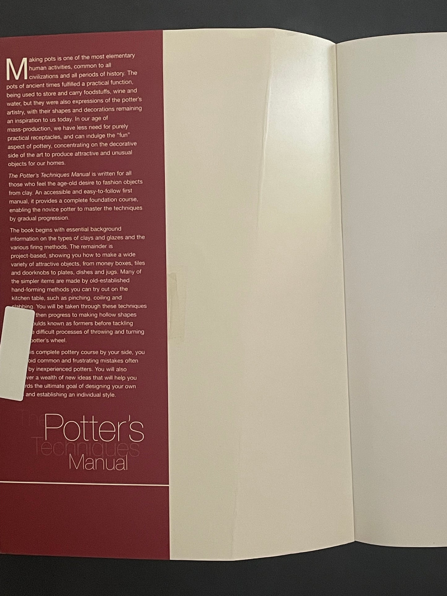 The Potter's Techniques Manual by Morgen Hall