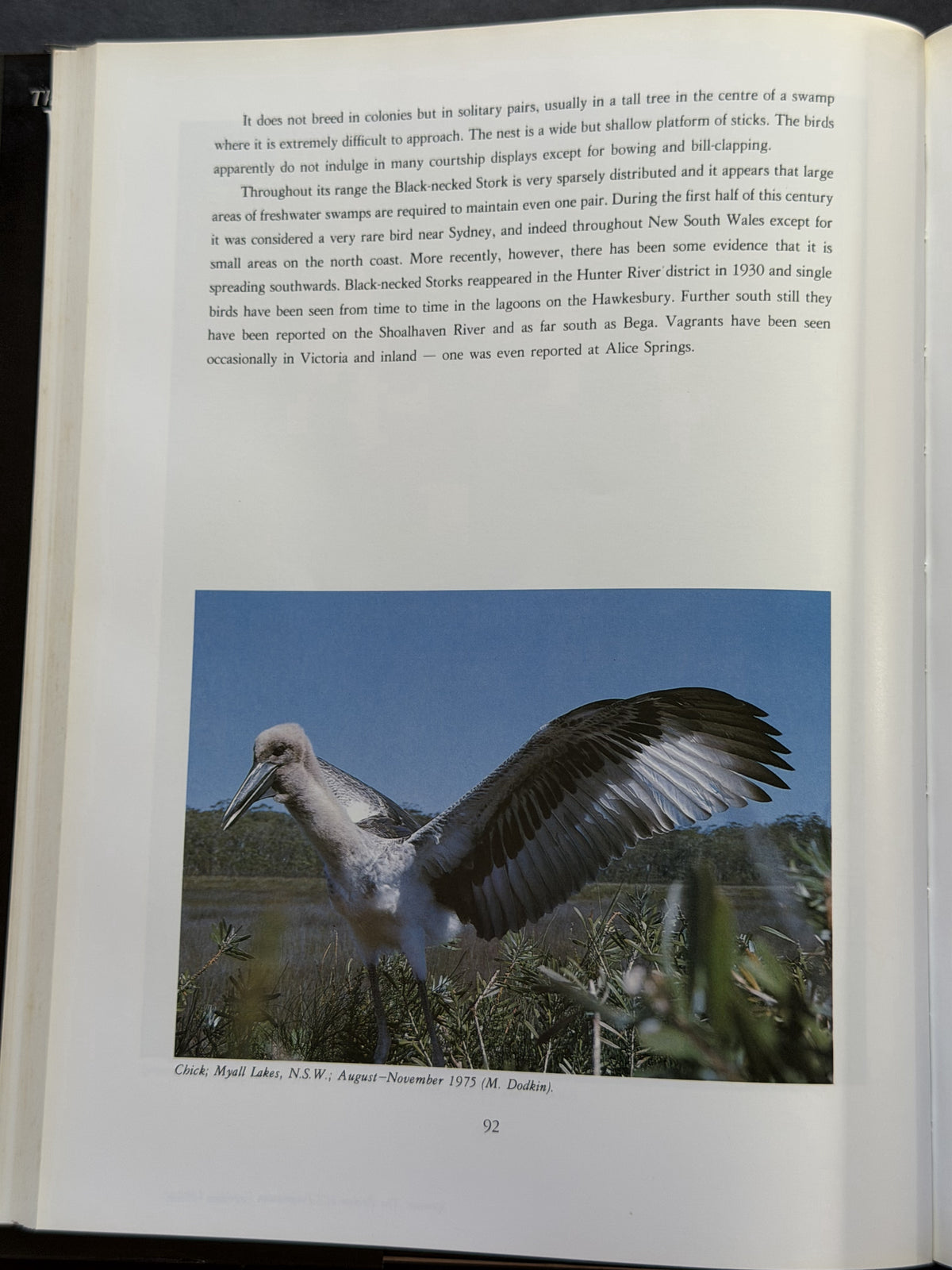 The Waterbirds of Australia