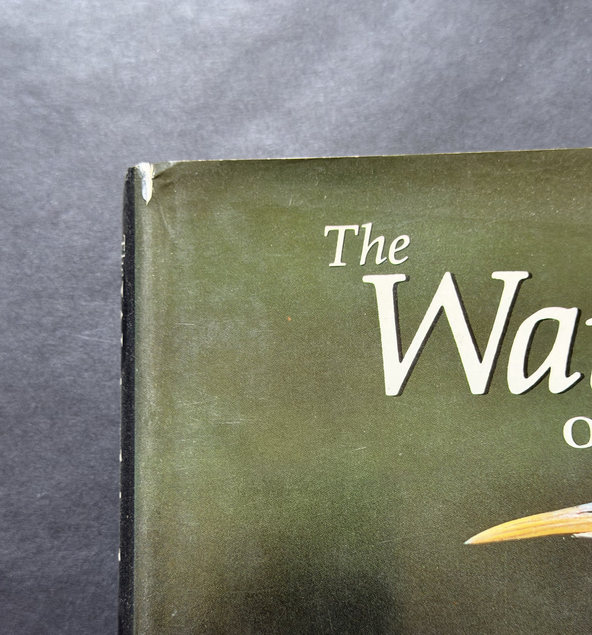 The Waterbirds of Australia