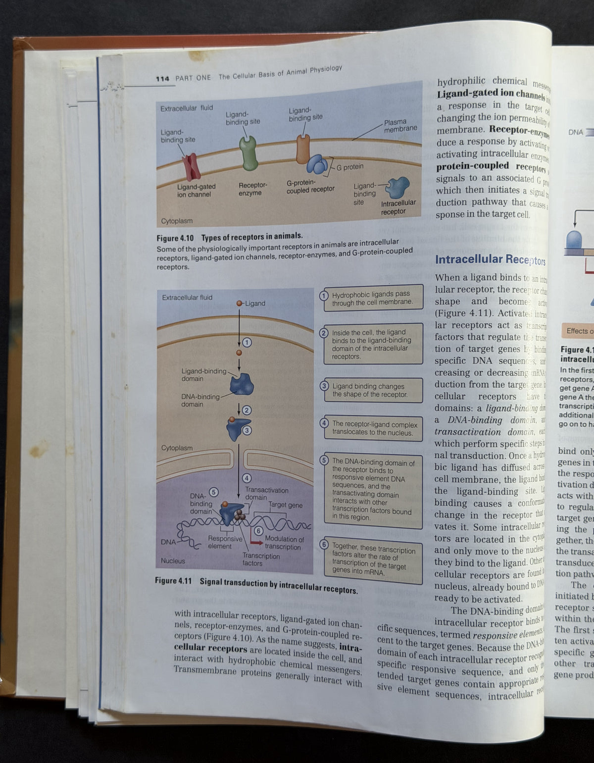 Principles of Animal Physiology by Christopher D. Moyes, Patricia M. Schulte