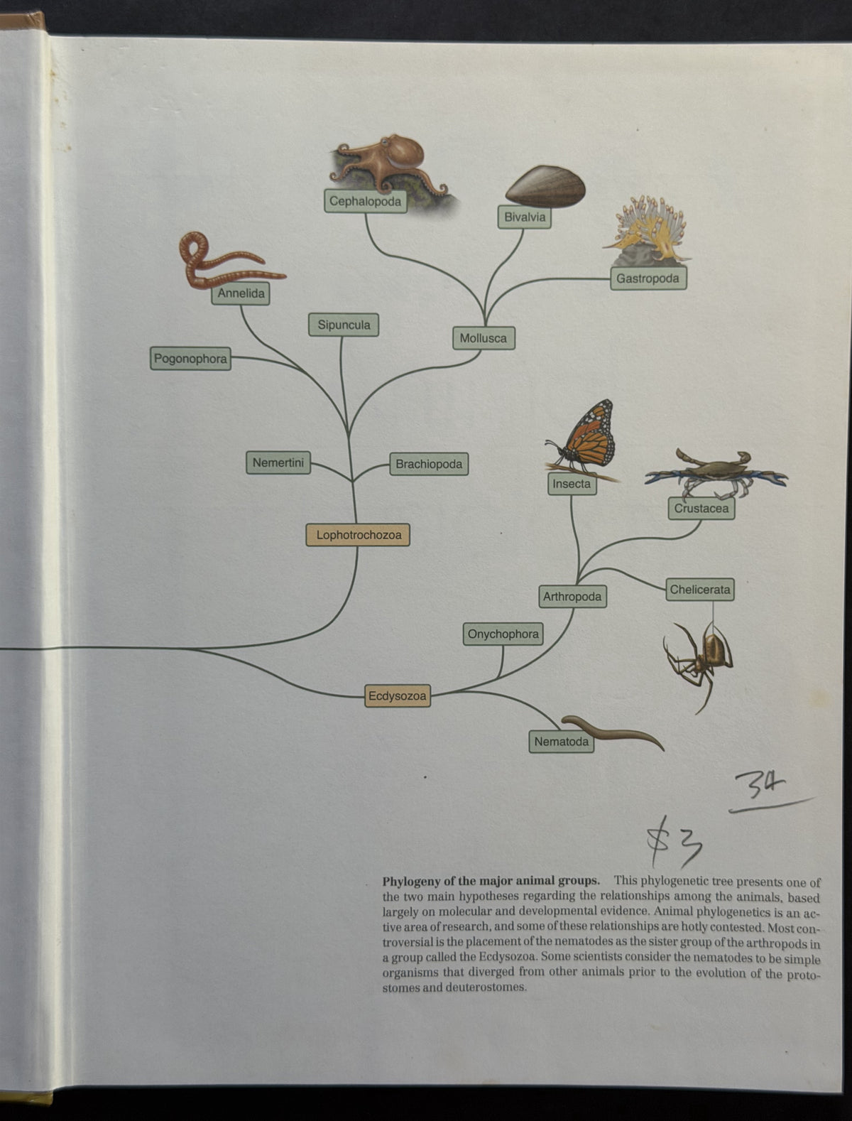 Principles of Animal Physiology by Christopher D. Moyes, Patricia M. Schulte