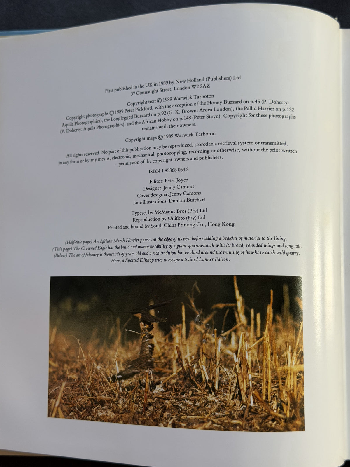 African Birds of Prey by Warwick Rowe Tarboton
