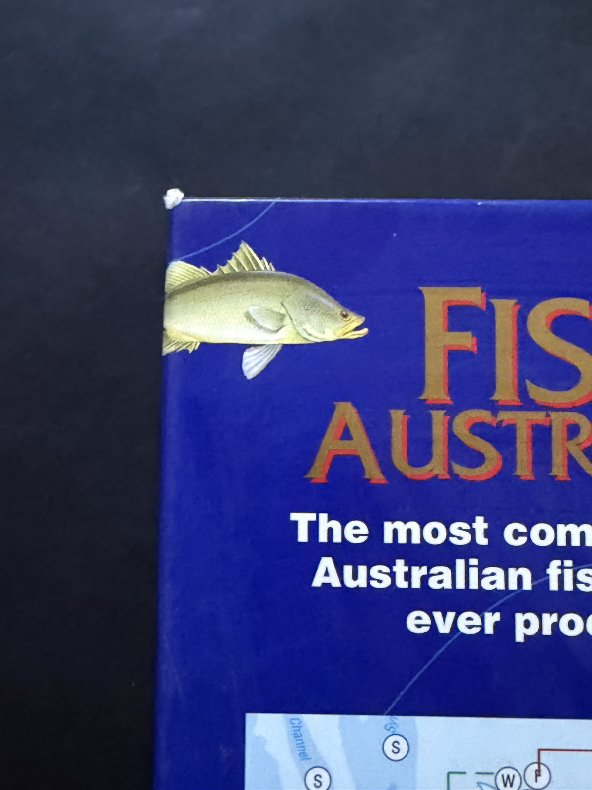 Fish Australia by John Ross