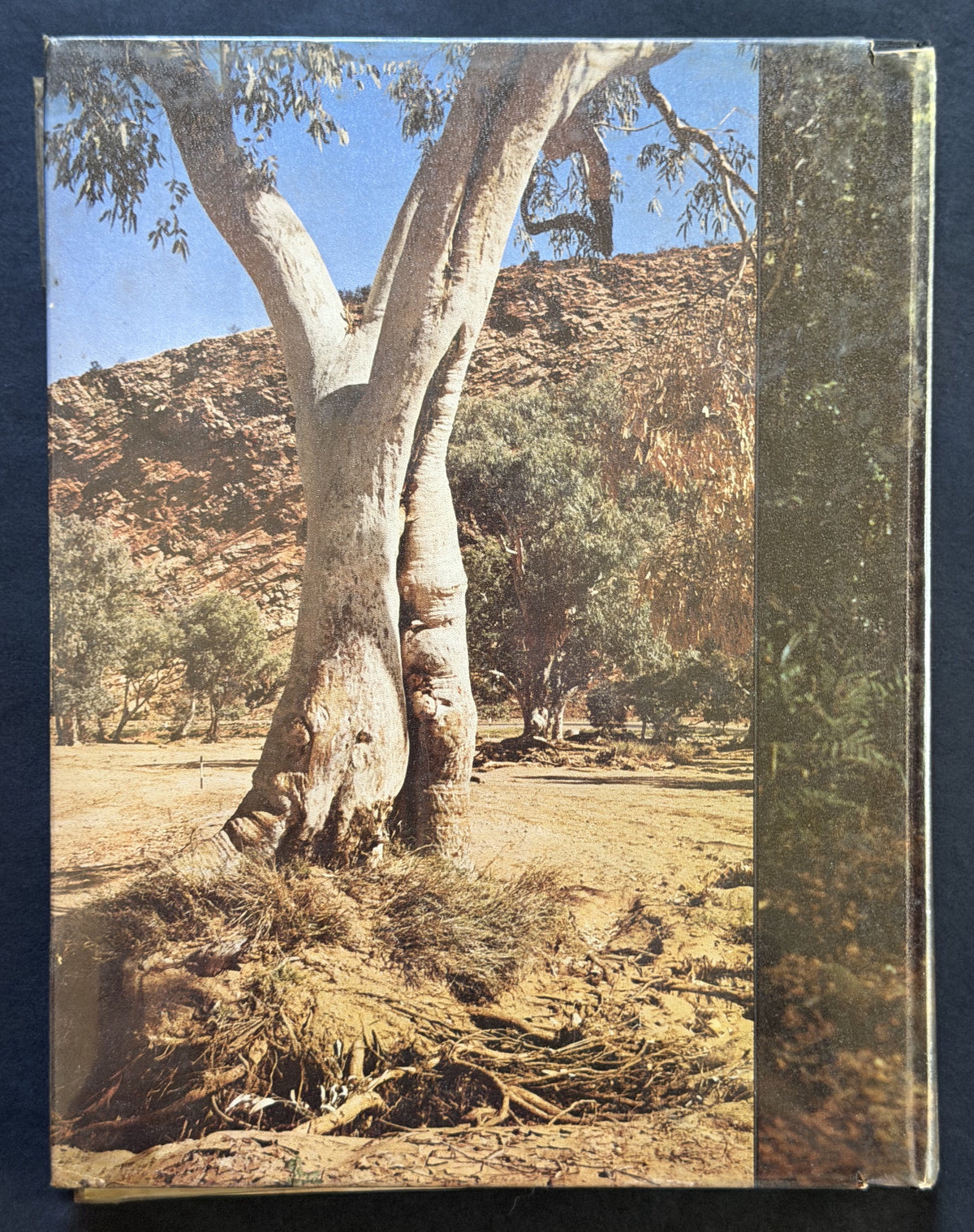 Trees of the Australian Bush by Eric Worrell and Lois Sourry