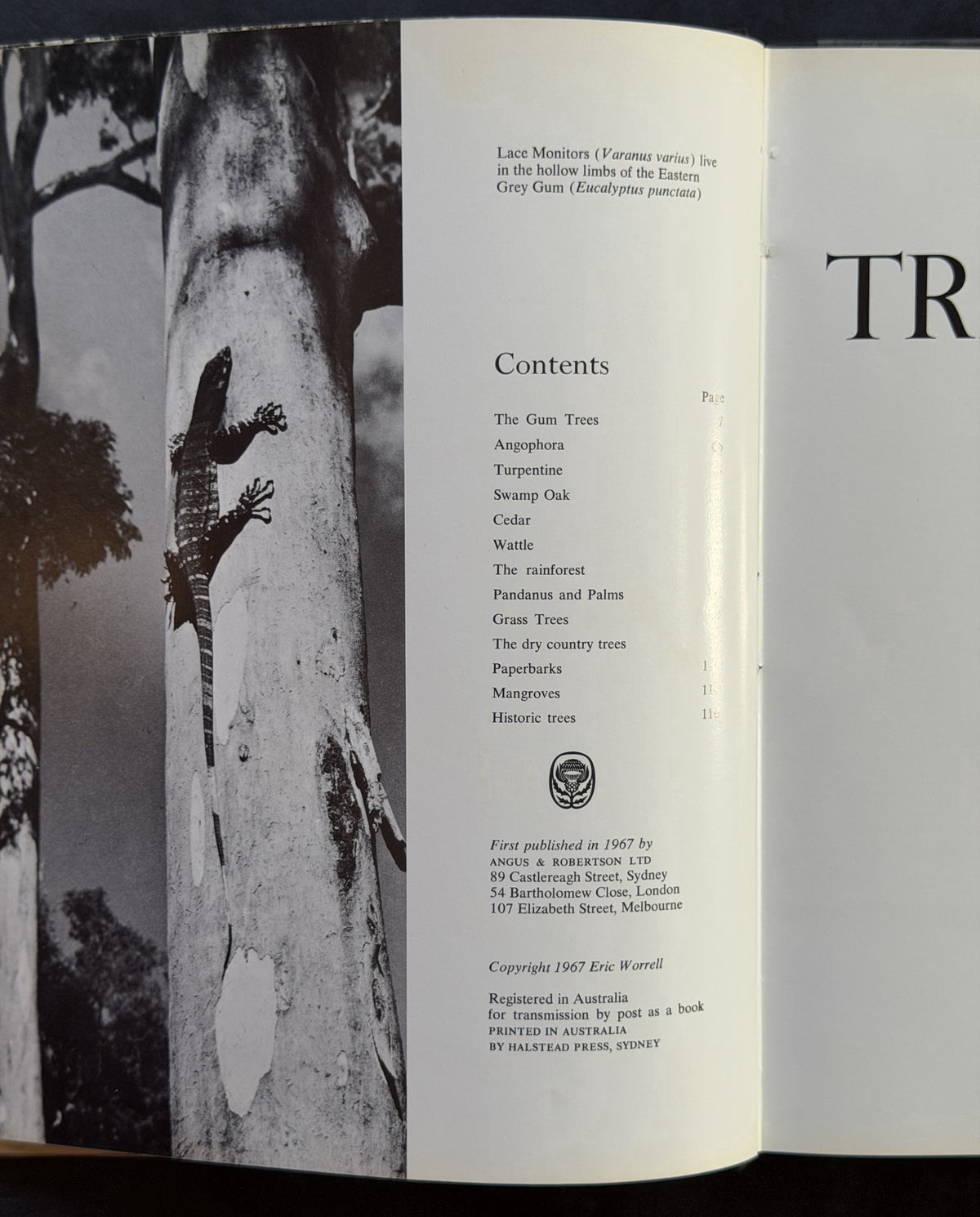 Trees of the Australian Bush by Eric Worrell and Lois Sourry