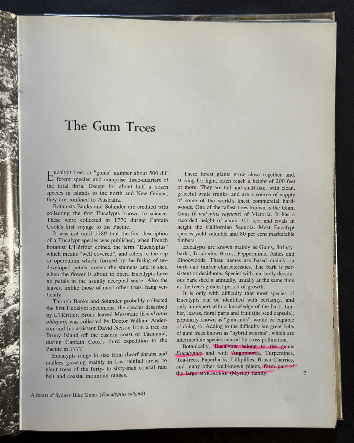 Trees of the Australian Bush by Eric Worrell and Lois Sourry