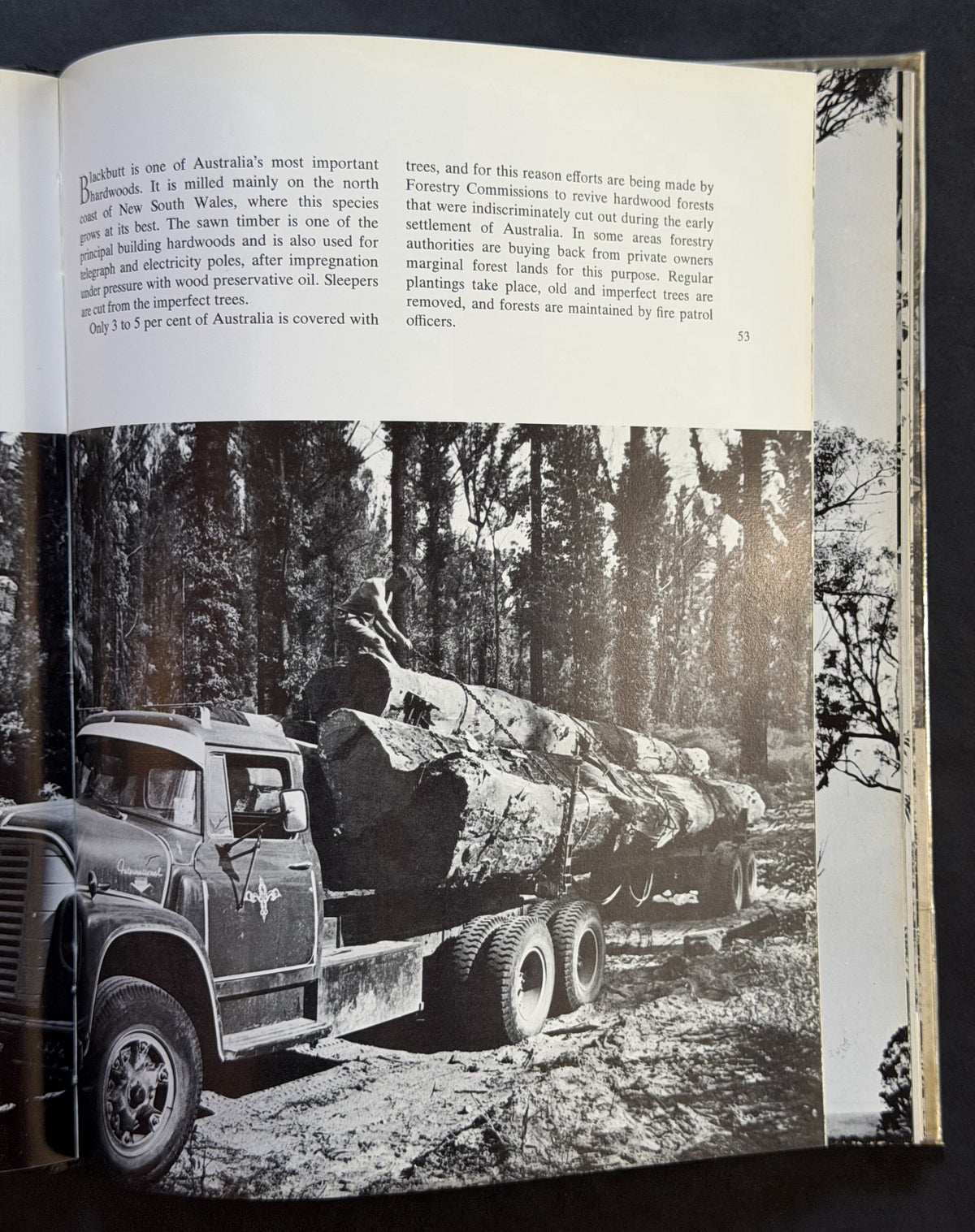 Trees of the Australian Bush by Eric Worrell and Lois Sourry
