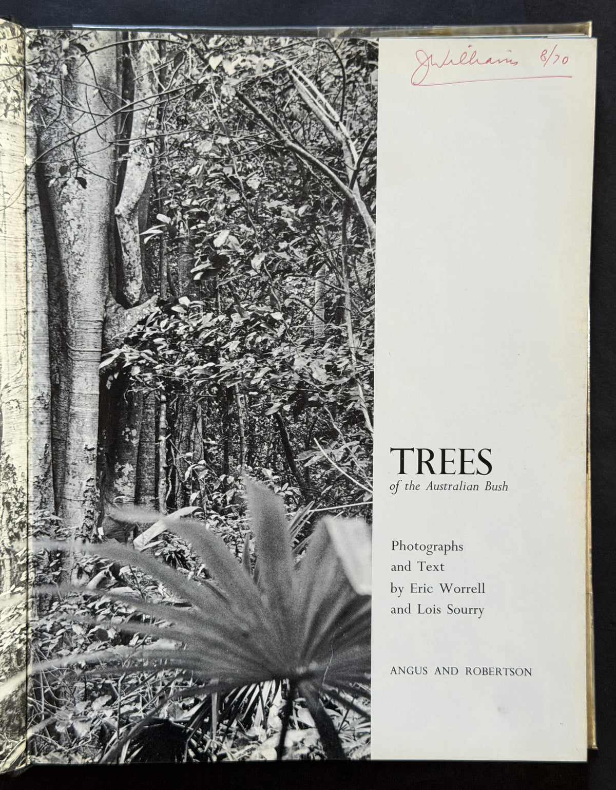 Trees of the Australian Bush by Eric Worrell and Lois Sourry