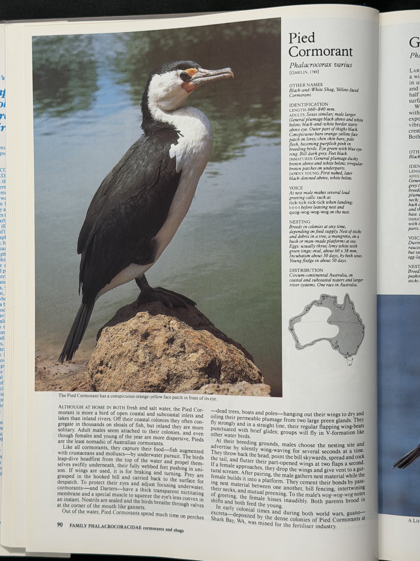 Reader's Digest Complete Book of Australian Birds by Richard Schodde et al.