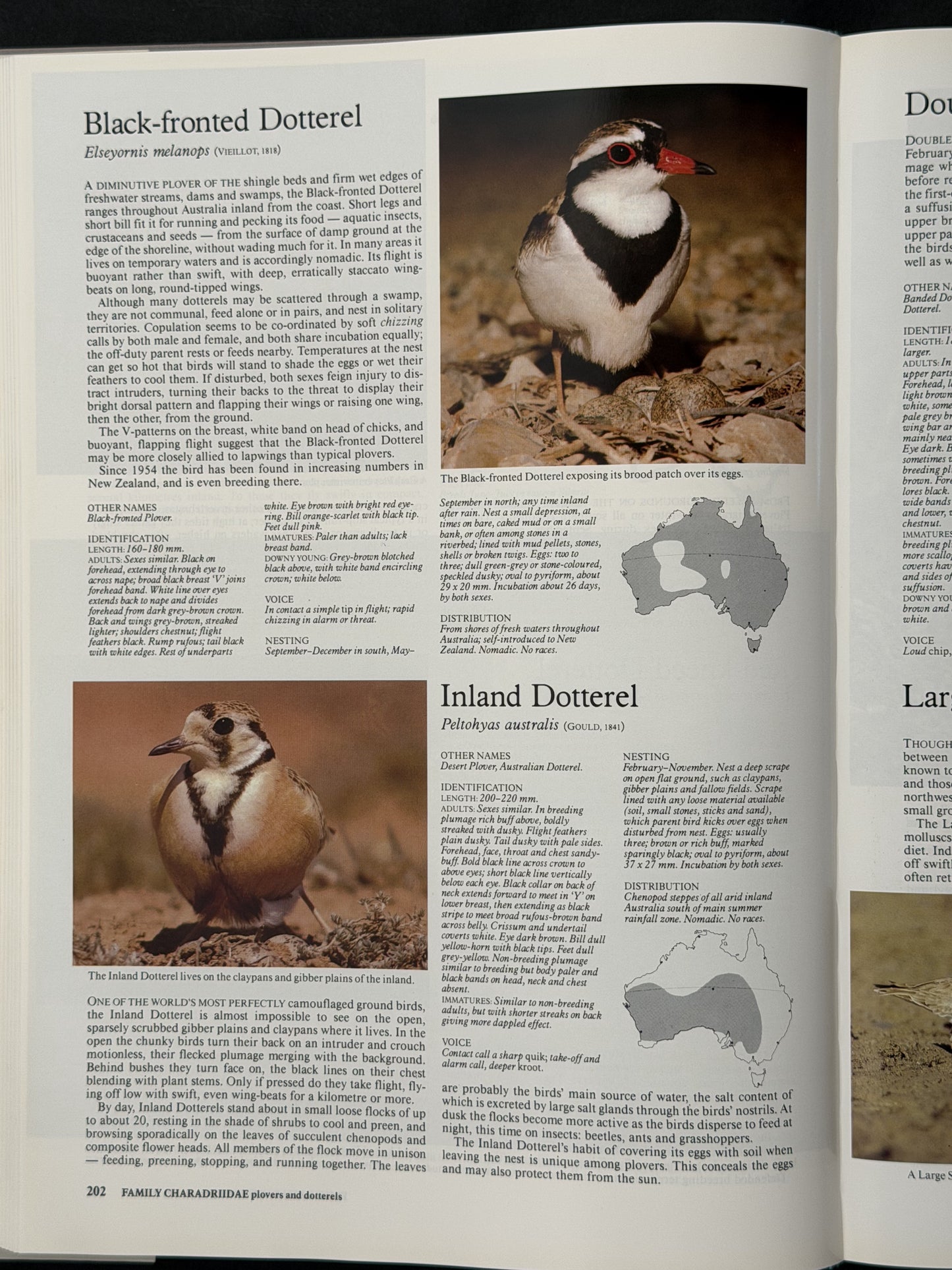 Reader's Digest Complete Book of Australian Birds by Richard Schodde et al.