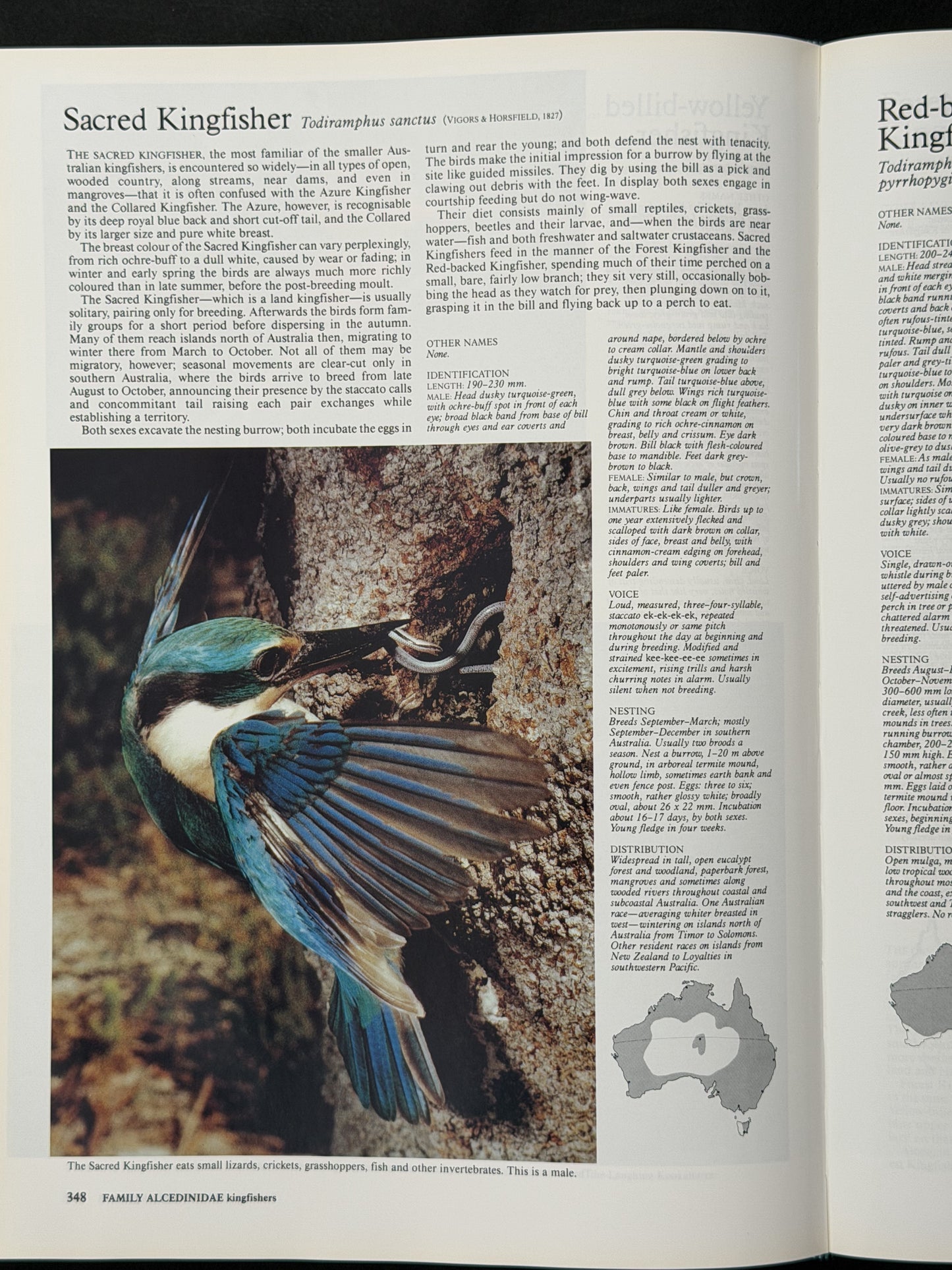 Reader's Digest Complete Book of Australian Birds by Richard Schodde et al.