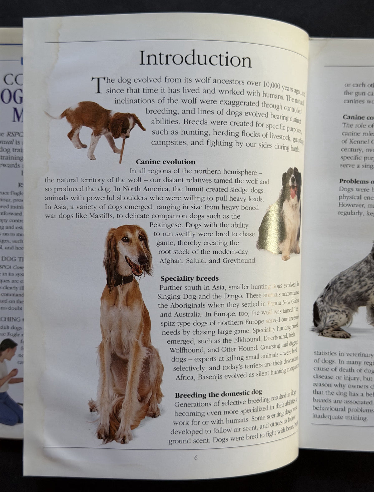 RSPCA Complete Dog Training Manual by Bruce Fogle, RSPCA (GREAT BRITAIN)