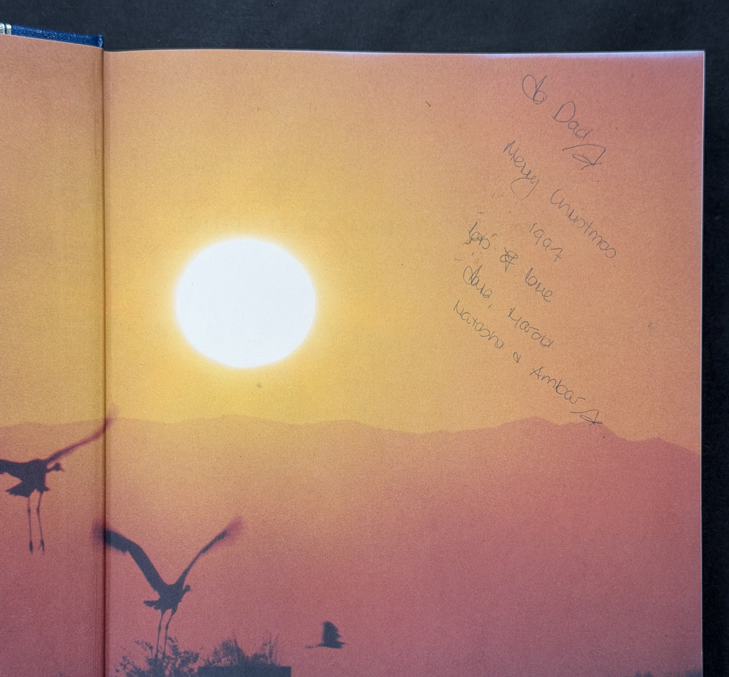 Reader's Digest Complete Book of Australian Birds by Richard Schodde et al.
