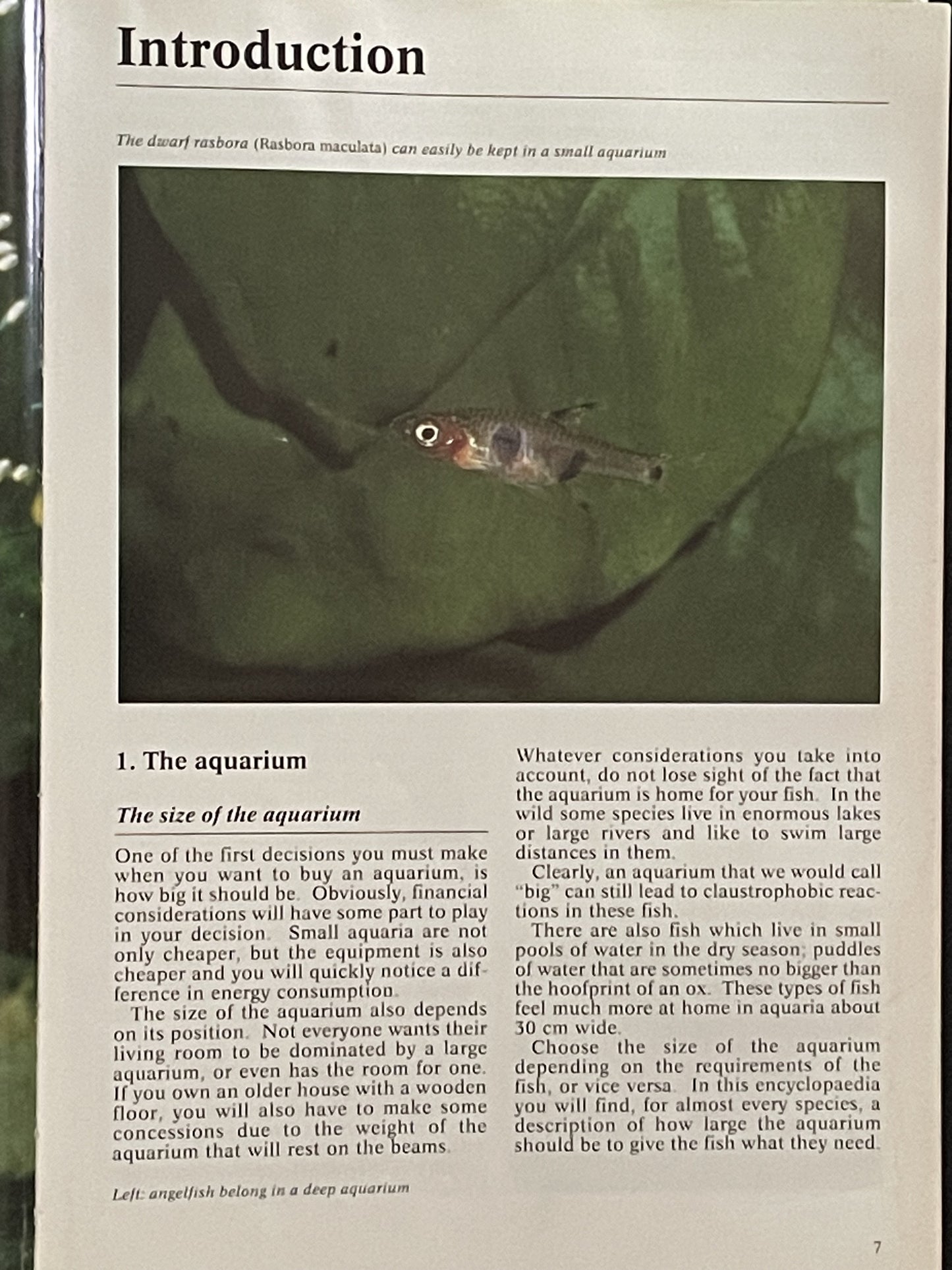 The Complete Encyclopedia of Tropical Fish by Esther J. J. Verhoef-Verhallen